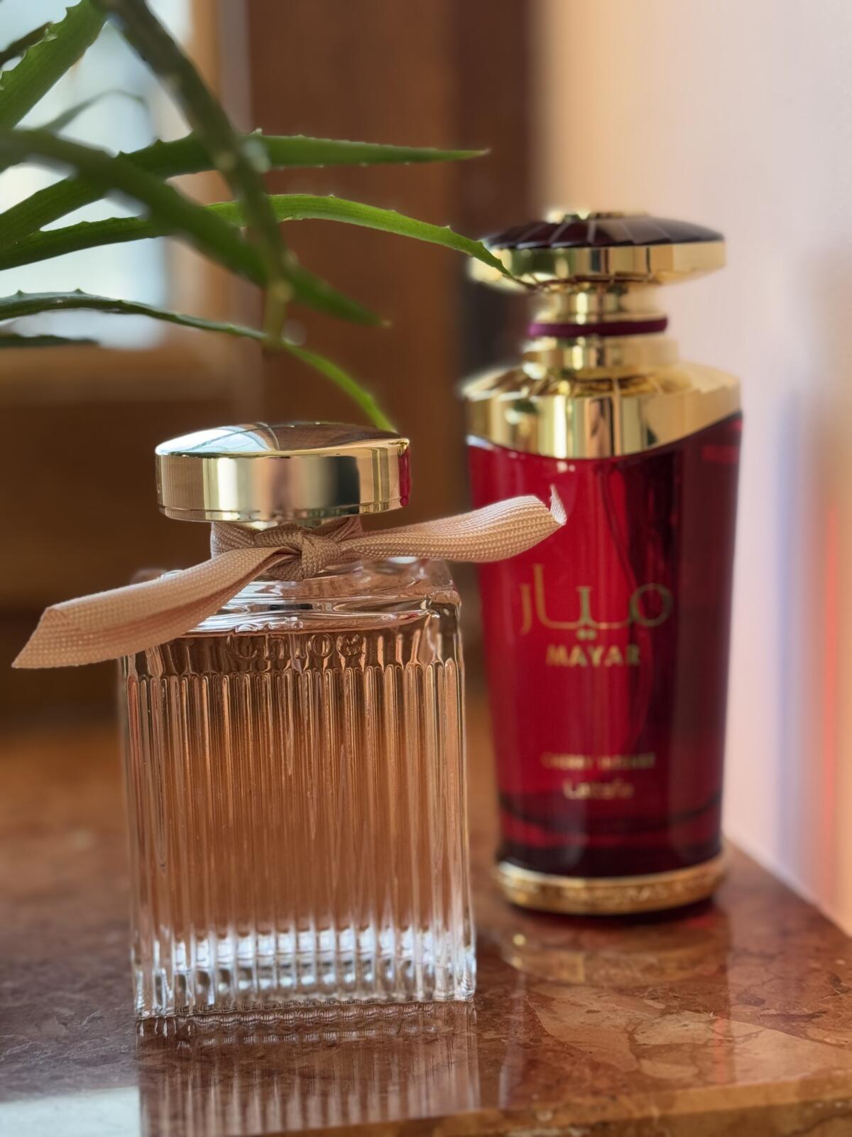 عطر ادکلن میار چری اینتنس لتافا پرفیومز - Mayar Cherry Intense Lattafa Perfumes - بررسی، قیمت و خرید