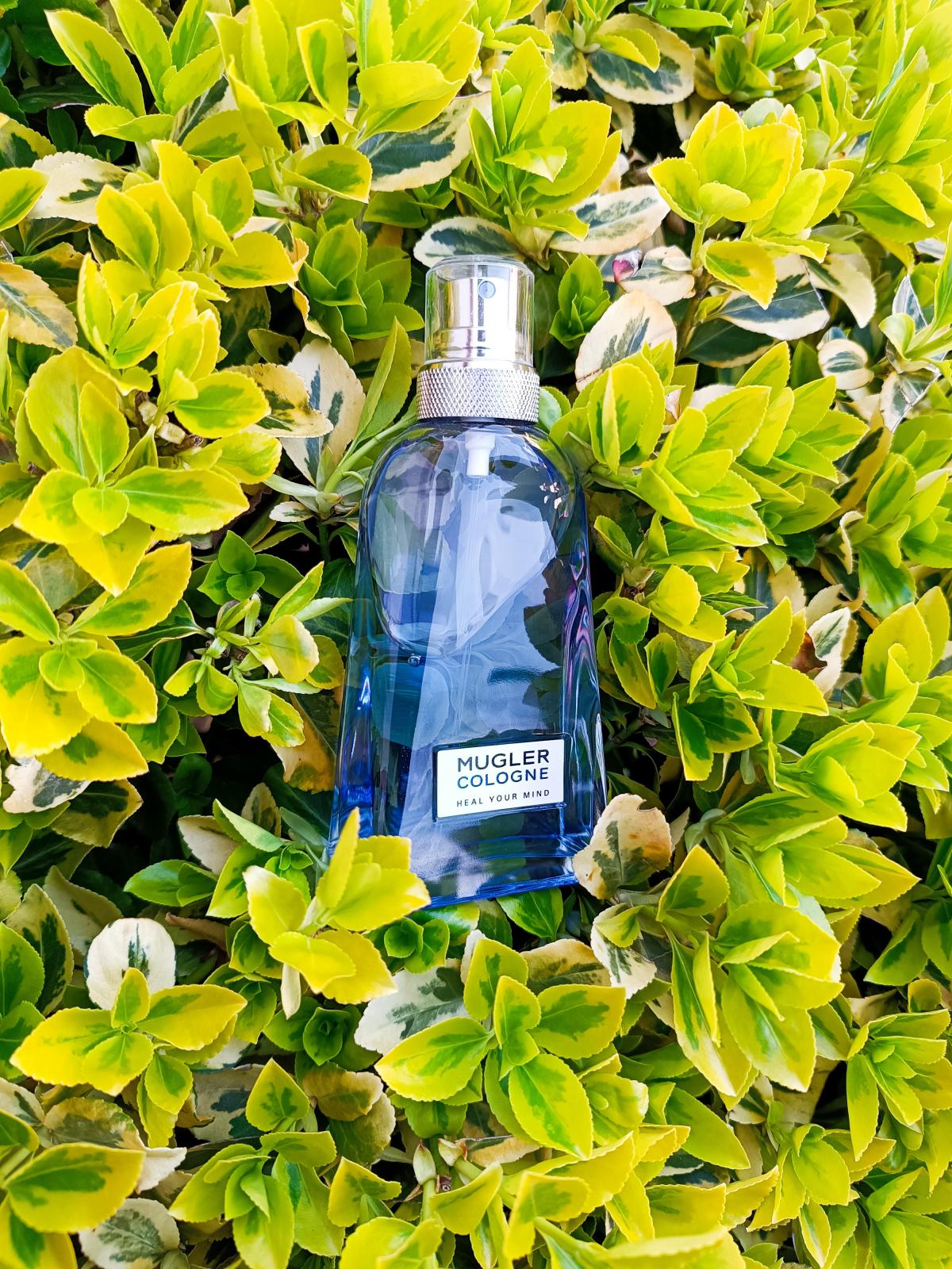 عطر ادکلن هیل یور مایند موگلر - Heal Your Mind Mugler - بررسی، قیمت و خرید