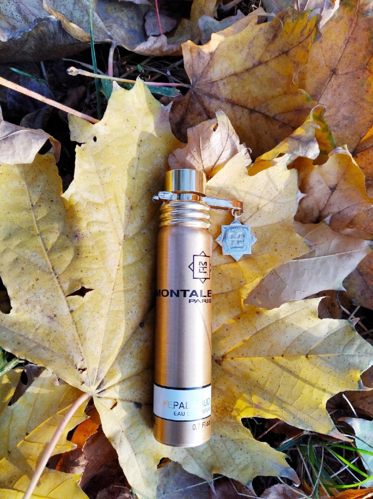 عطر ادکلن نپال عود مونتال - Nepal Aoud Montale - بررسی، قیمت و خرید