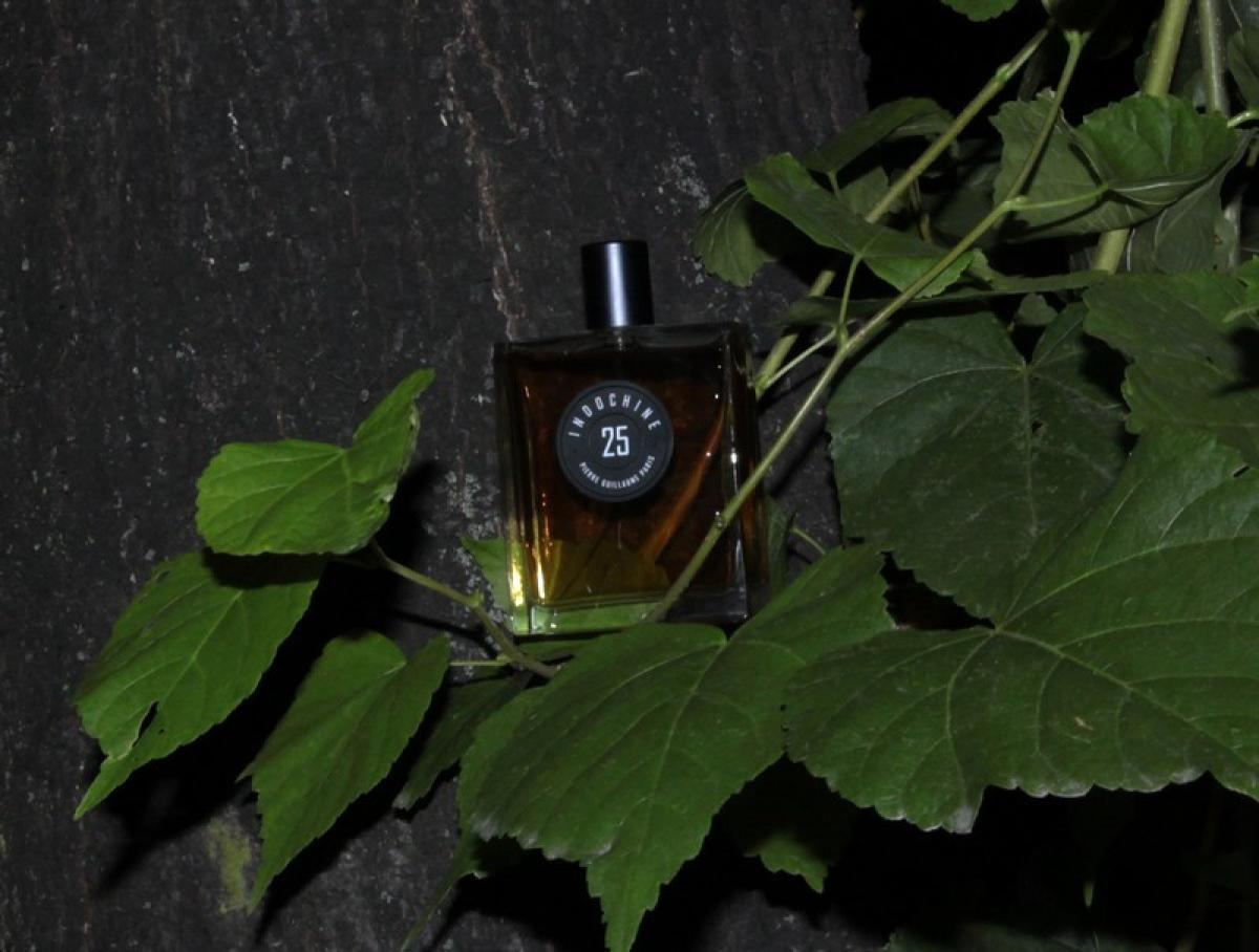 عطر ادکلن ایندوچین بیست و پنج پیر گلیام پاریس - Indochine 25 Pierre Guillaume Paris - بررسی، قیمت و خرید