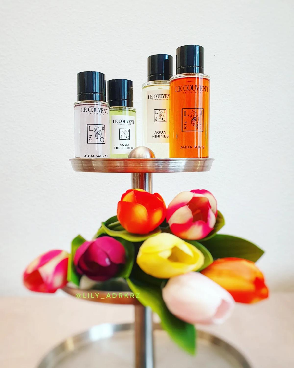 عطر ادکلن آکوا سولیس لو کوونت - Aqua Solis Le Couvent Maison de Parfum - بررسی، قیمت و خرید