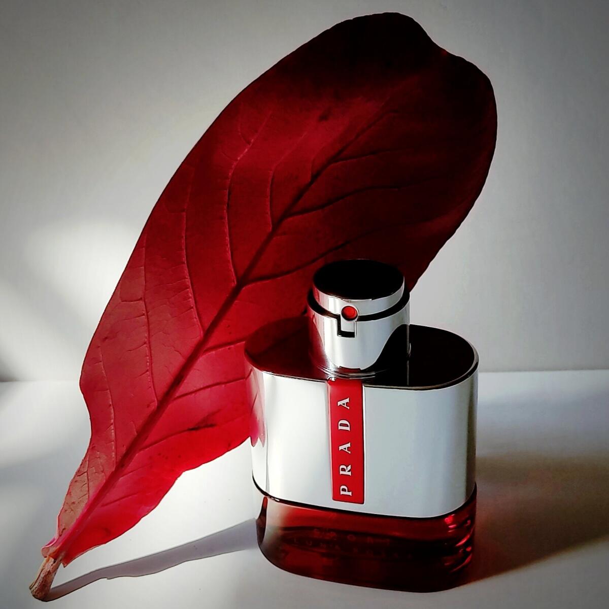 عطر ادکلن لونا روسا اسپورت پرادا - Luna Rossa Sport Prada - بررسی، قیمت و خرید