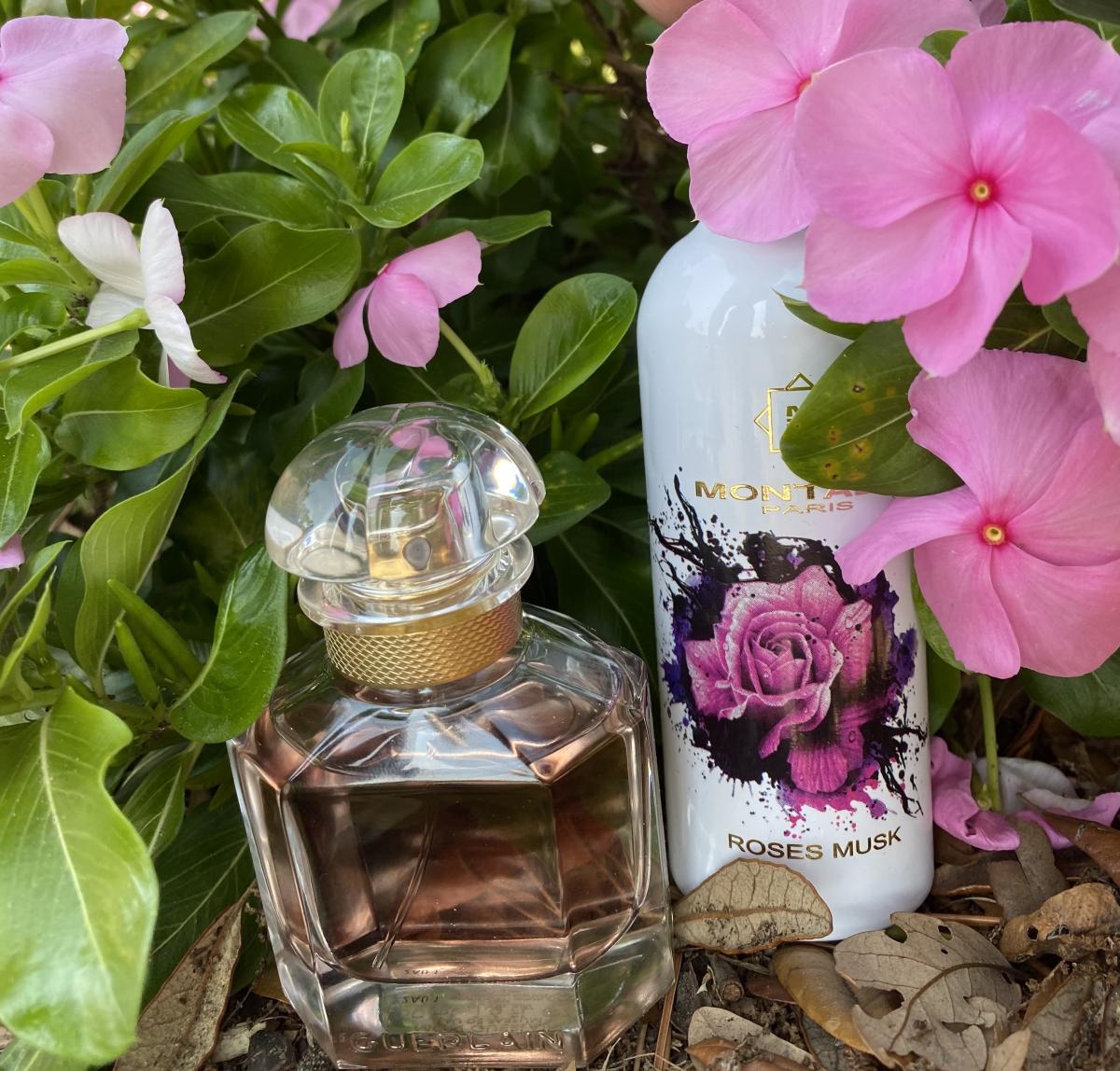 عطر ادکلن رزز ماسک لیمیتد ادیشن مونتال - Roses Musk Limited Edition Montale - بررسی، قیمت و خرید