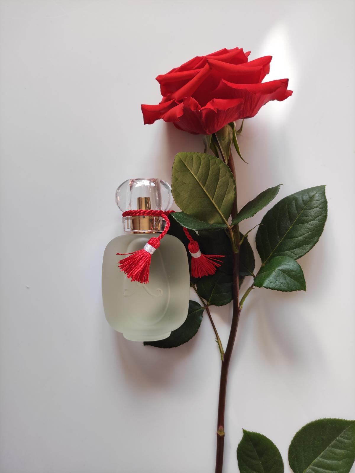 عطر ادکلن ‎روز گریوت لز پغفم دو غوزین - Rose Griotte Les Parfums de Rosine - بررسی، قیمت و خرید