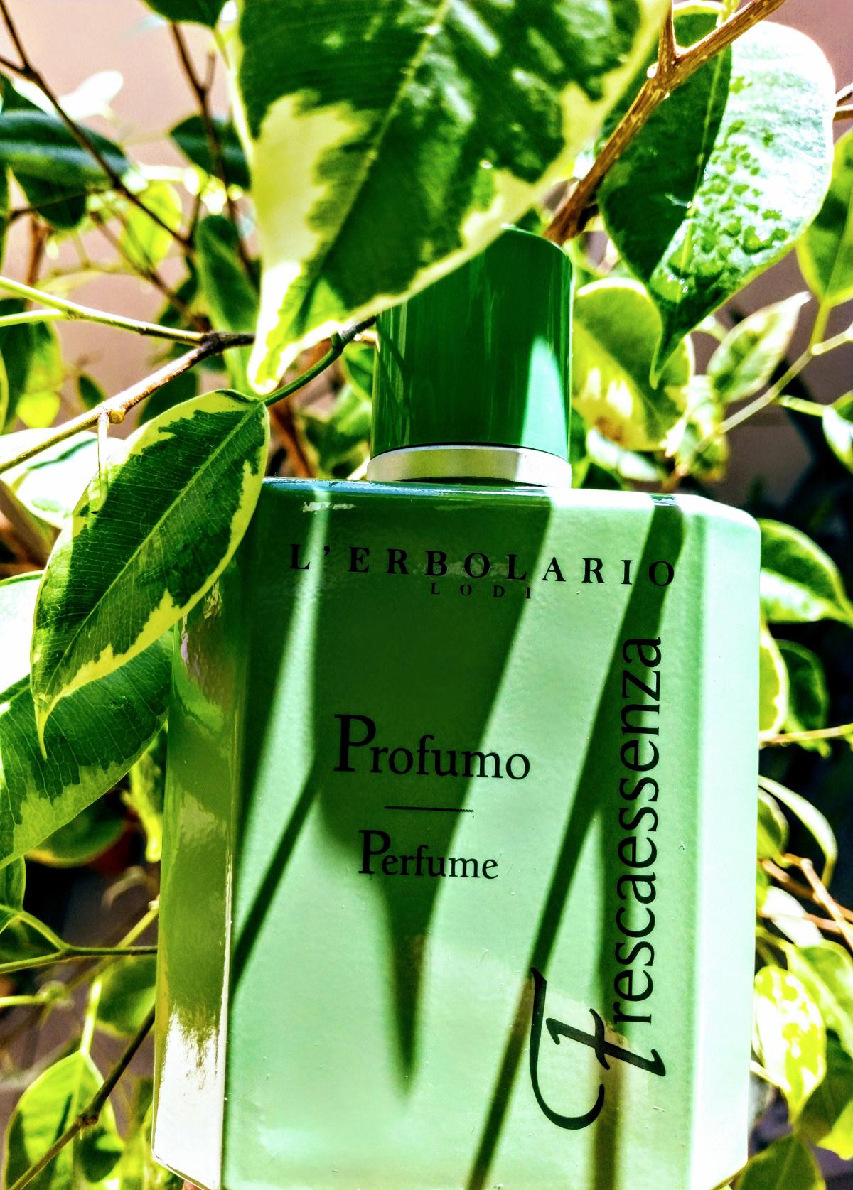 عطر ادکلن فرسکااسنزا لربولاریو - Frescaessenza L'Erbolario - بررسی، قیمت و خرید