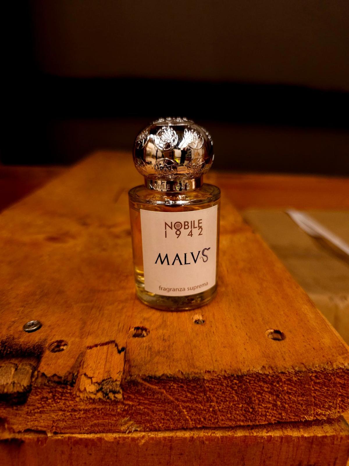 عطر ادکلن مالوس نوبیل ۱۹۴۲ - MALVS Nobile 1942 - بررسی، قیمت و خرید