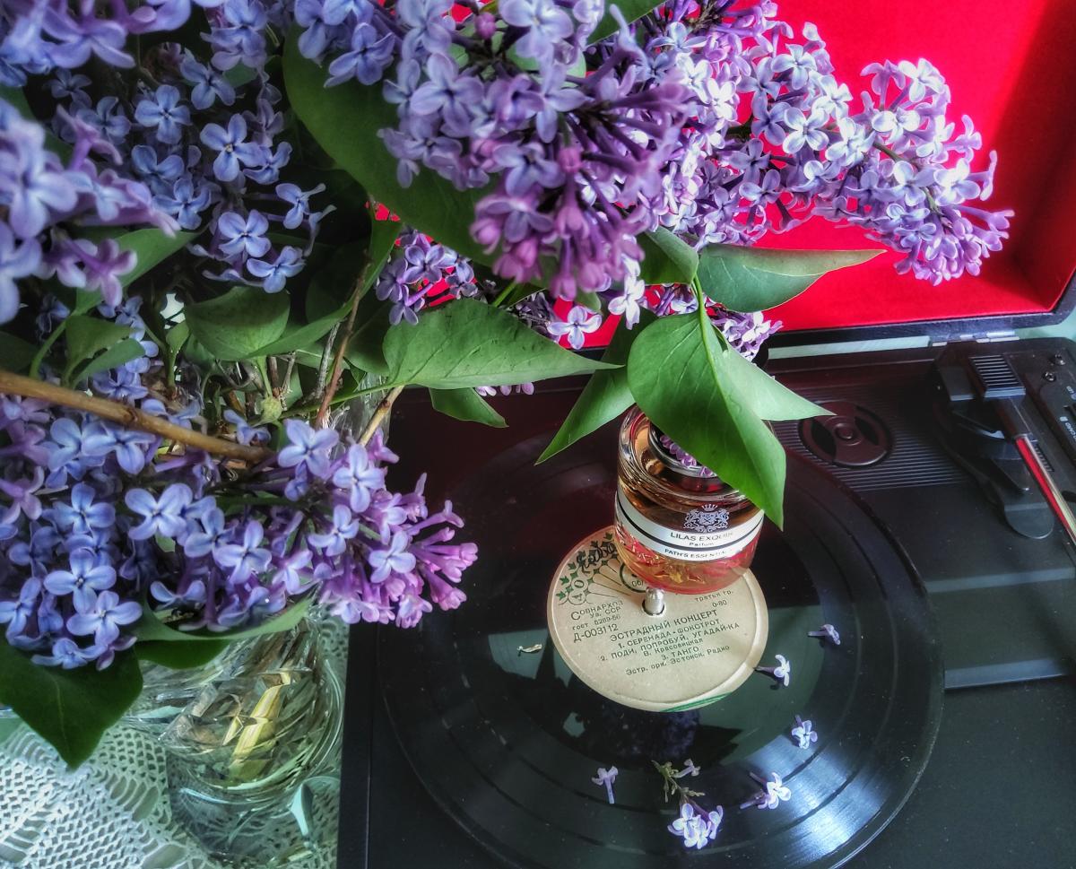 عطر ادکلن لیلاس اکسکیز ژاک فت - Lilas Exquis Jacques Fath - بررسی، قیمت و خرید