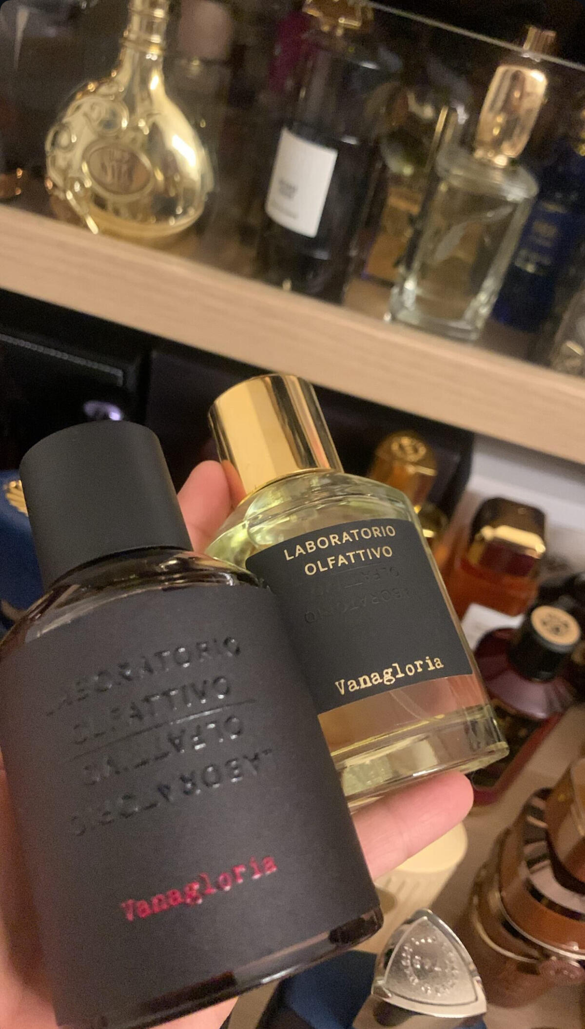 عطر ادکلن واناگلوریا لابراتوریو اولفاتیو - Vanagloria Laboratorio Olfattivo - بررسی، قیمت و خرید