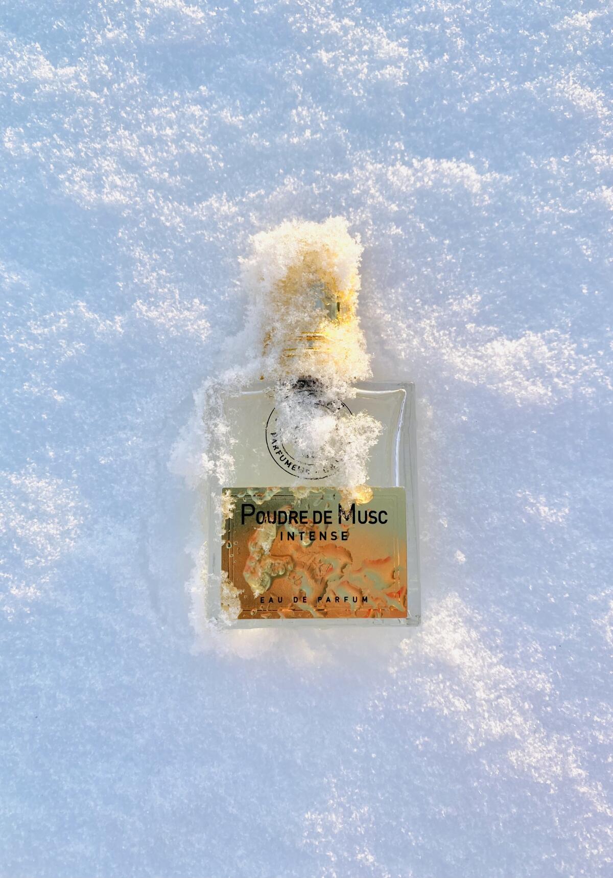 عطر ادکلن پودر د ماسک اینتنس نیکولای پارفومر کریتور - Poudre de Musc Intense Nicolai Parfumeur Createur - بررسی، قیمت و خرید