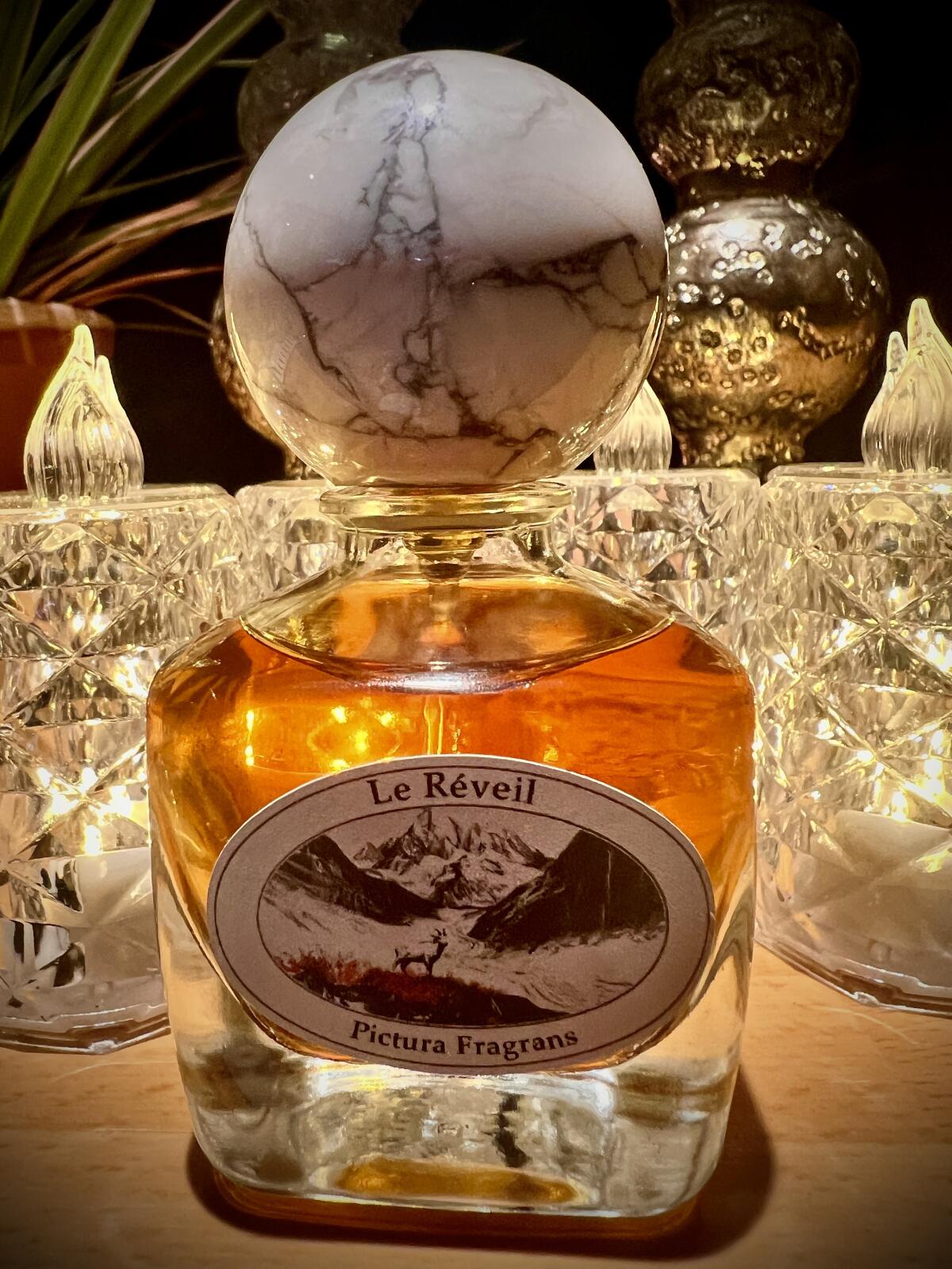 عطر ادکلن لُه رِوِی پیکتورا فراگرانس - Le Réveil Pictura Fragrans - بررسی، قیمت و خرید
