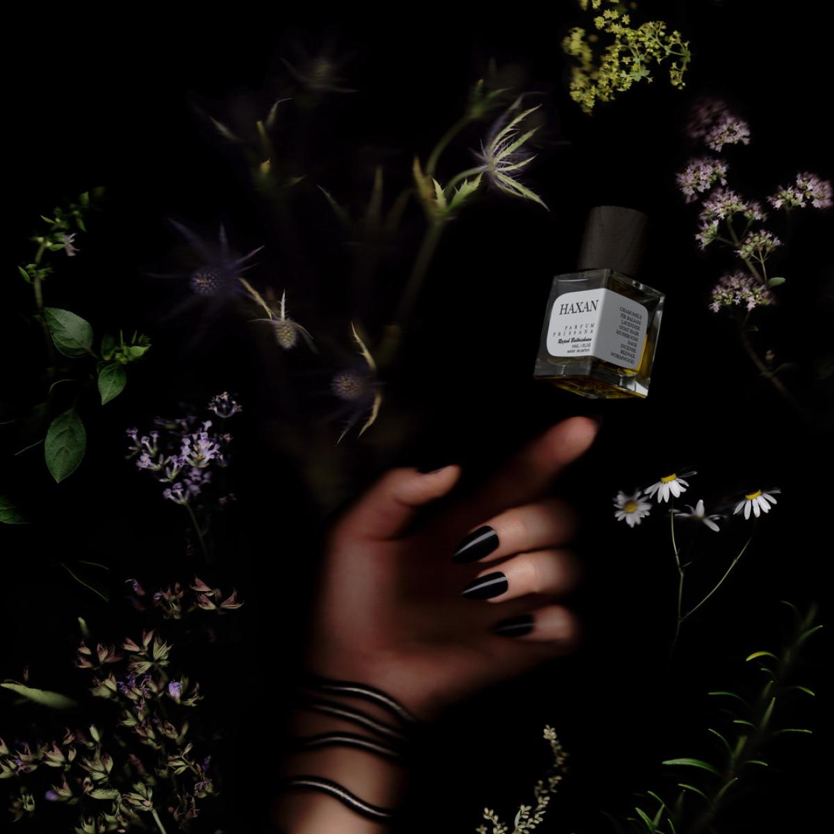 عطر ادکلن هکسن پریسنا - Haxan Prissana - بررسی، قیمت و خرید