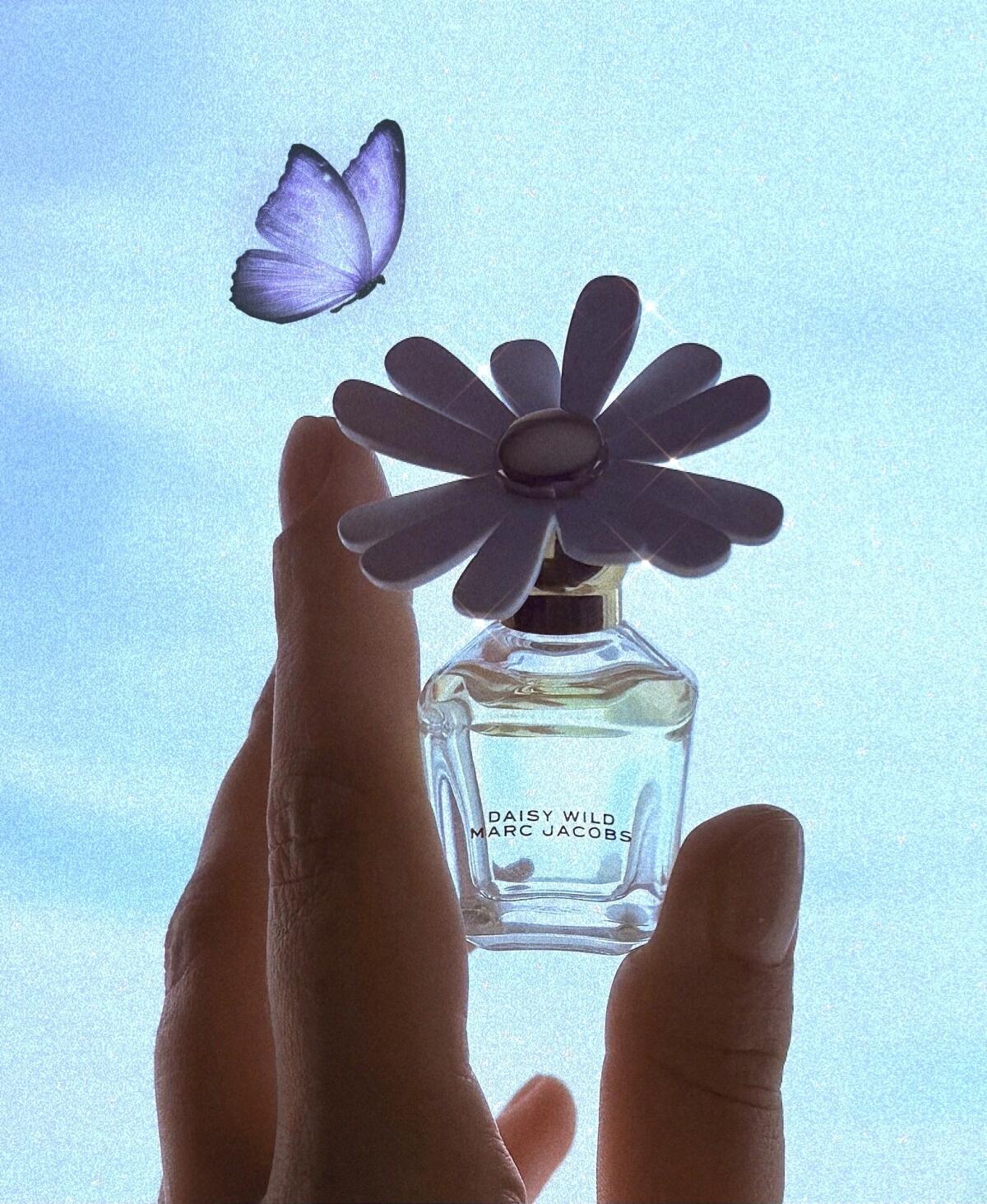 عطر ادکلن دیزی وایلد مارک جیکوبز - Daisy Wild Marc Jacobs - بررسی، قیمت و خرید