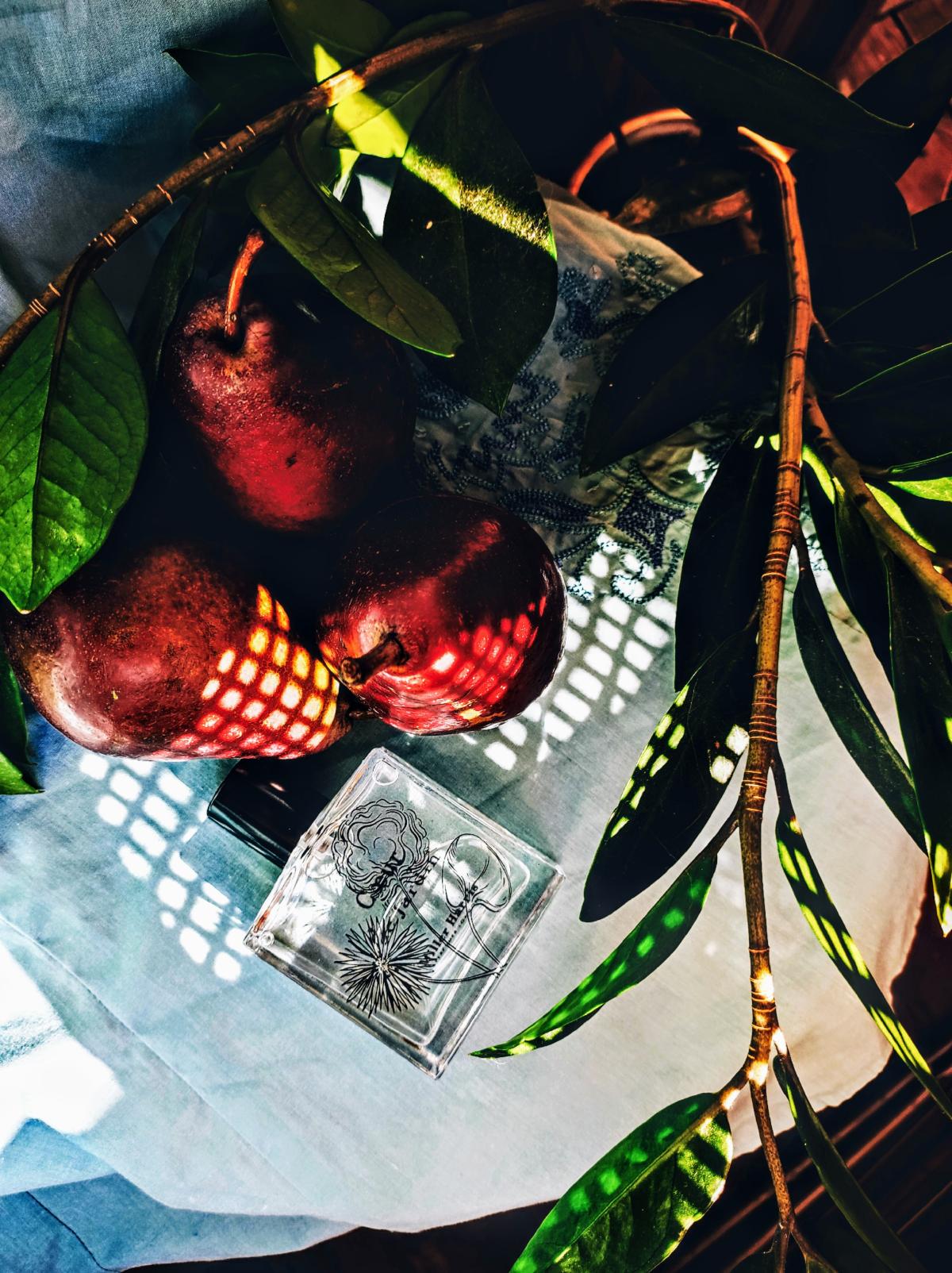عطر ادکلن کورد د ژاردن میلر هریس - Coeur de Jardin Miller Harris - بررسی، قیمت و خرید