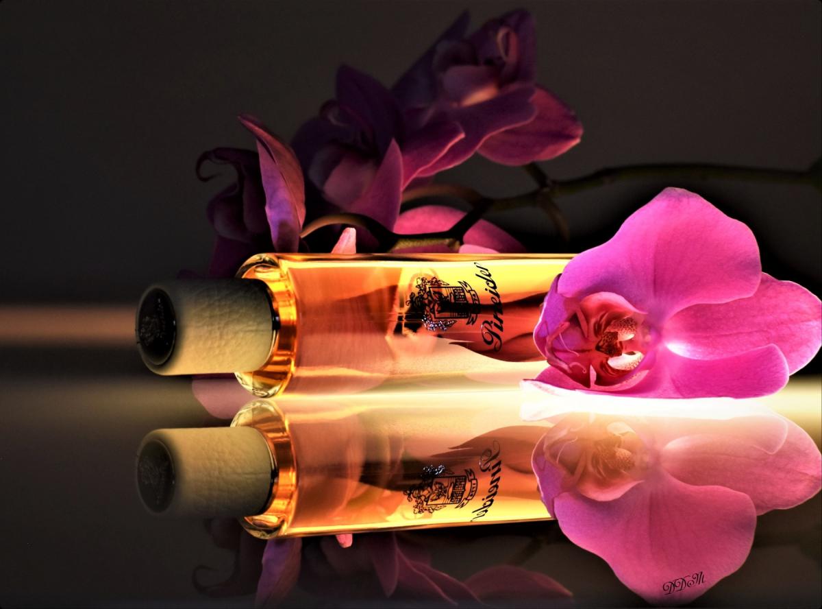 عطر ادکلن ارکیدیا رئال پاینایدر - Orchidea Reale Pineider - بررسی، قیمت و خرید