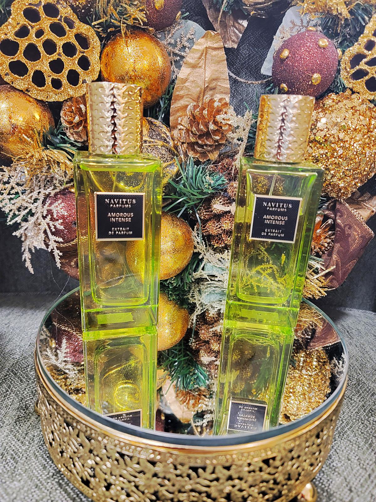 عطر ادکلن آموروس اینتنس ناویتوس پرفیومز - Amorous Intense Navitus Parfums - بررسی، قیمت و خرید