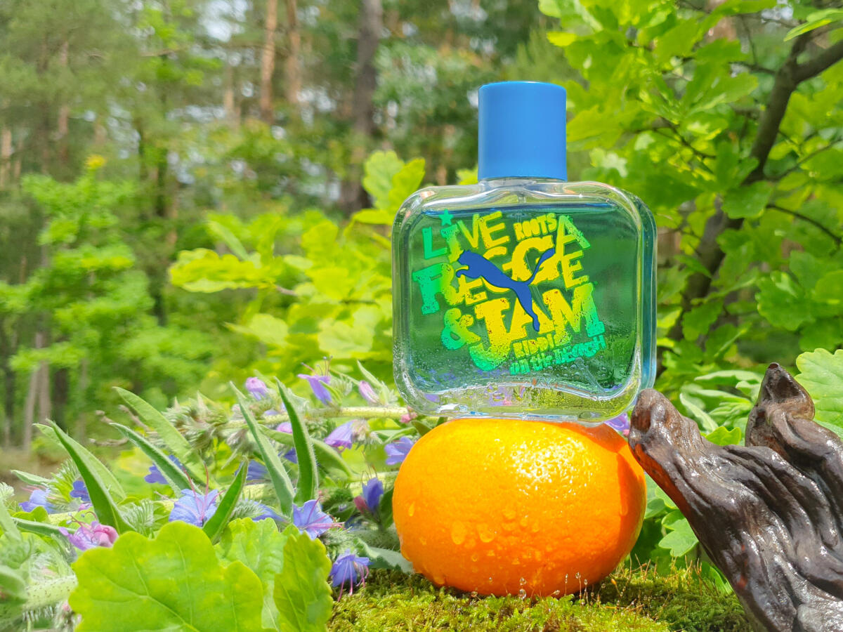 عطر ادکلن جم من پومِه - Jam Man Puma - بررسی، قیمت و خرید
