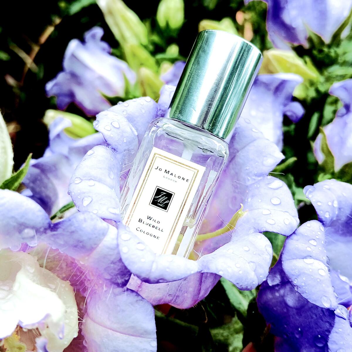 عطر ادکلن وایلد بلوبل جو مالون لاندن - Wild Bluebell Jo Malone London - بررسی، قیمت و خرید