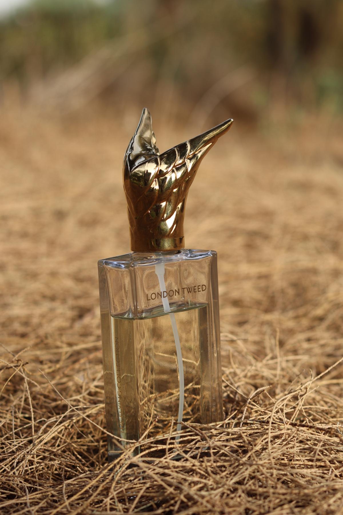 عطر ادکلن لندن توید منو پاریس - London Tweed Memo Paris - بررسی، قیمت و خرید
