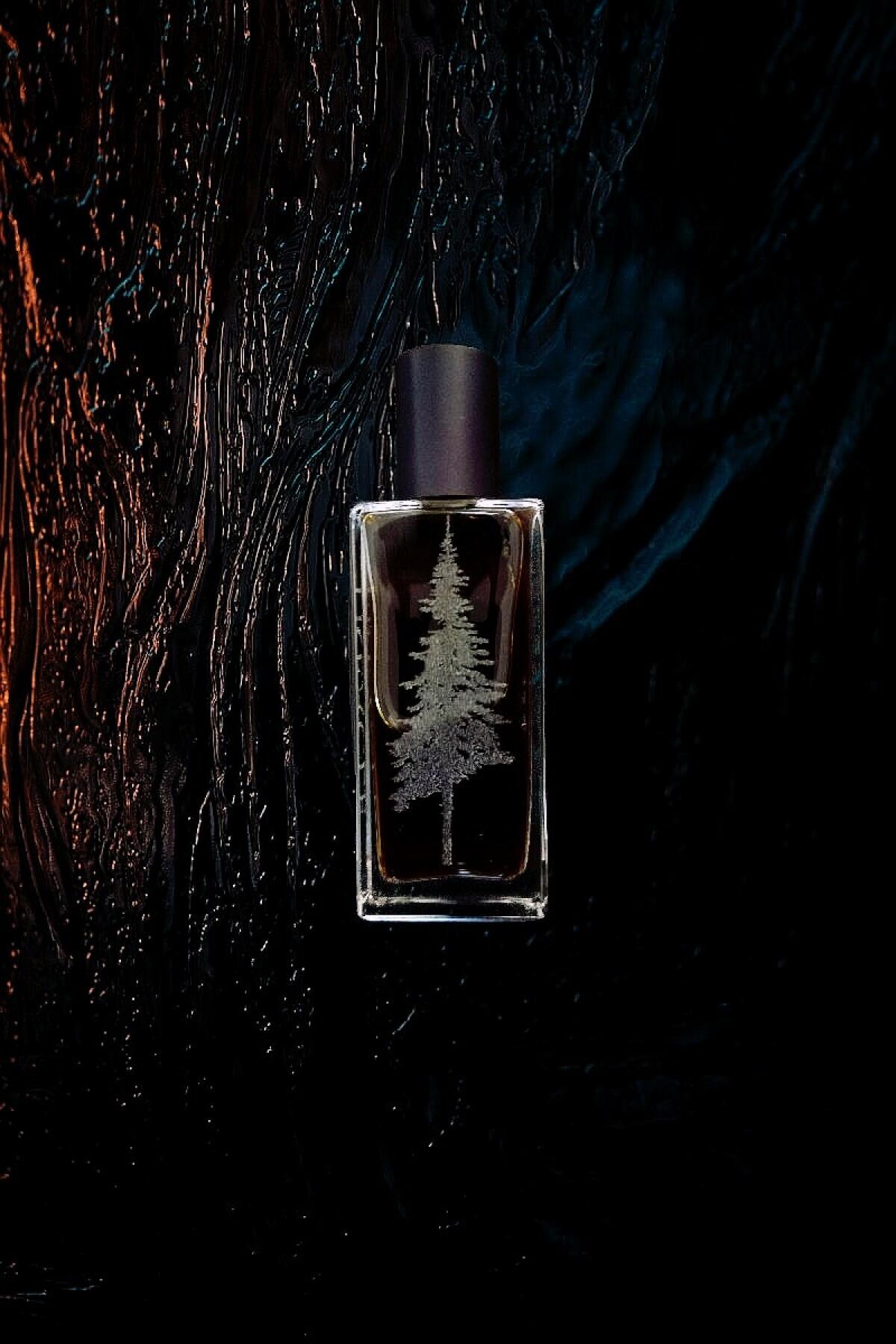عطر ادکلن ​​تریکل پاین‌وارد پرفیومز - Treacle Pineward Perfumes - بررسی، قیمت و خرید