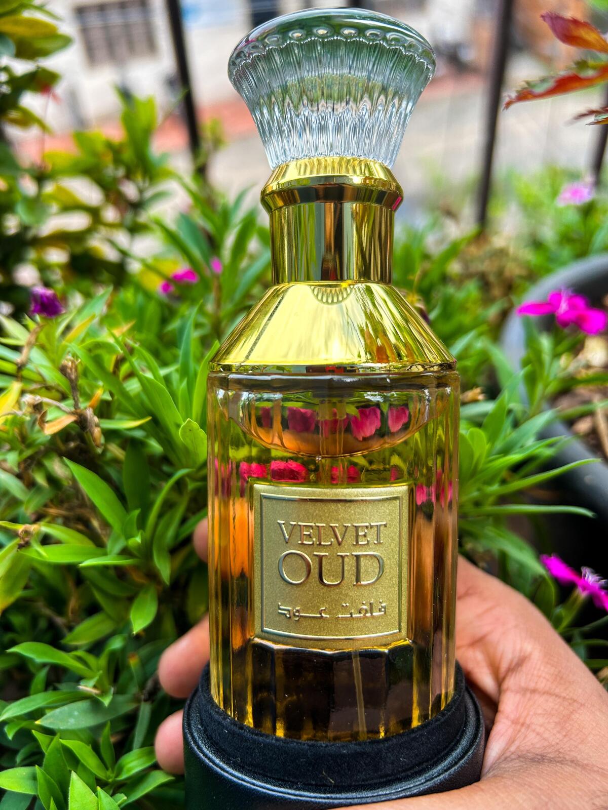 عطر ادکلن ولوت عود لتافا پرفیومز - Velvet Oud Lattafa Perfumes - بررسی، قیمت و خرید