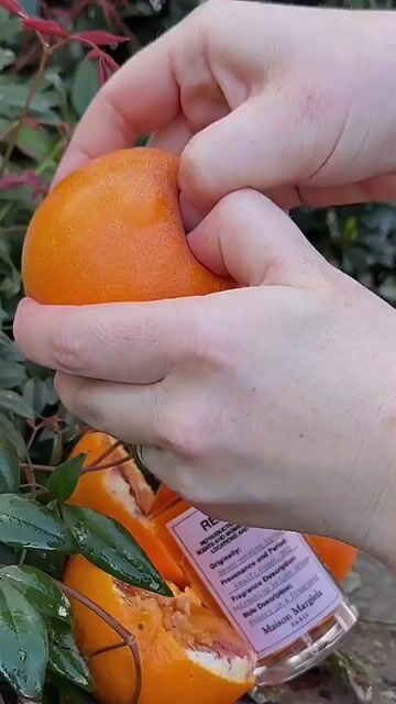 عطر ادکلن نوور اندینگ سامر مِیزون مارتَن مارژِلا - Never-ending Summer Maison Martin Margiela - بررسی، قیمت و خرید