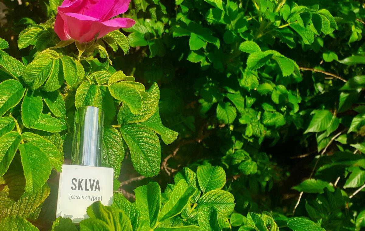عطر ادکلن کسسیس چیپر اسکلووا - [cassis chypre] SKLVA - بررسی، قیمت و خرید