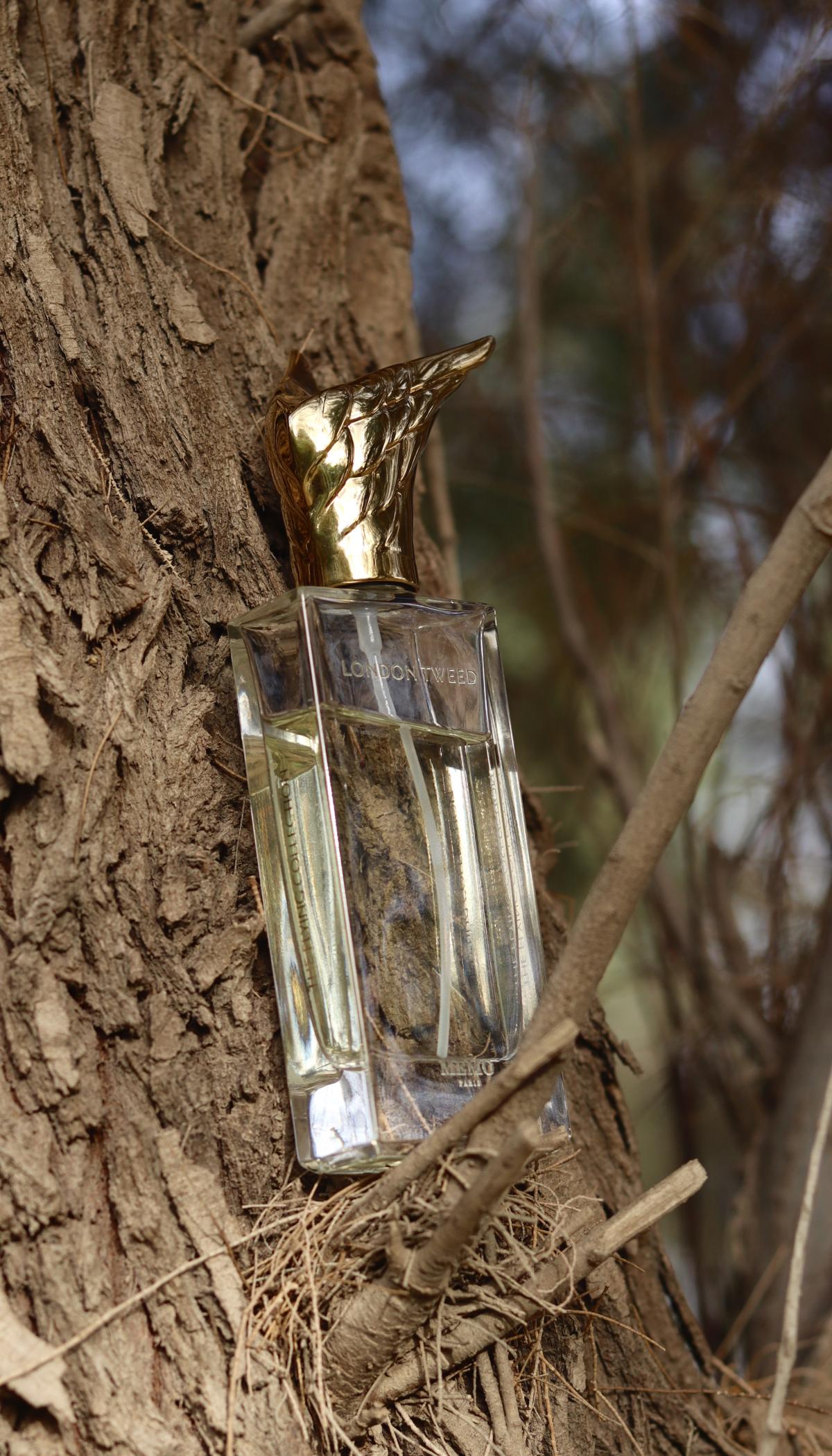 عطر ادکلن لندن توید منو پاریس - London Tweed Memo Paris - بررسی، قیمت و خرید