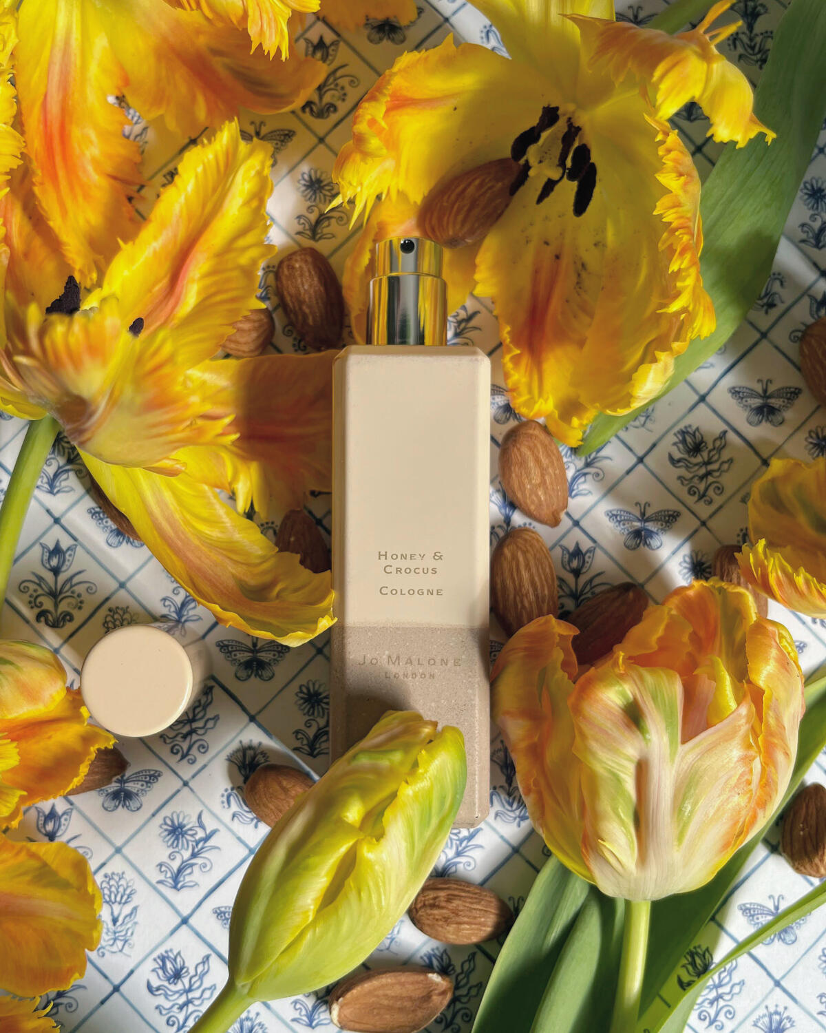 عطر ادکلن هانی اند کروکوس جو ملون لندن - Honey & Crocus Jo Malone London - بررسی، قیمت و خرید