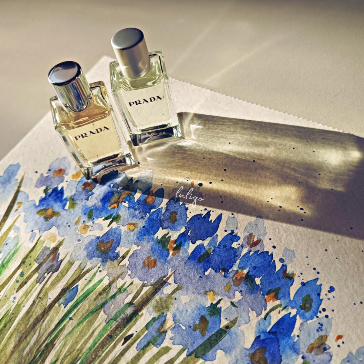 عطر ادکلن اینفیوژن دی ایریس او د توالت پرادا - Infusion d'Iris Eau de Toilette Prada - بررسی، قیمت و خرید