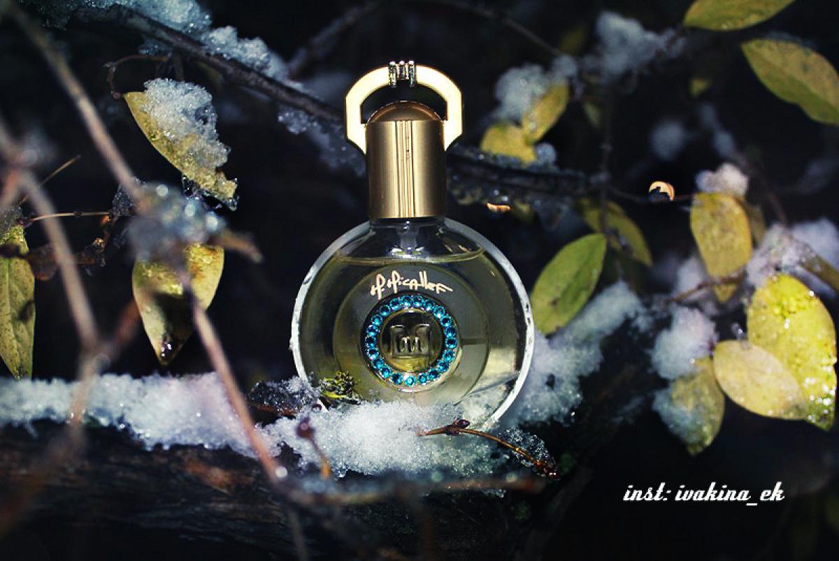 عطر ادکلن نایت عود میکالف - Night Aoud M. Micallef - بررسی، قیمت و خرید
