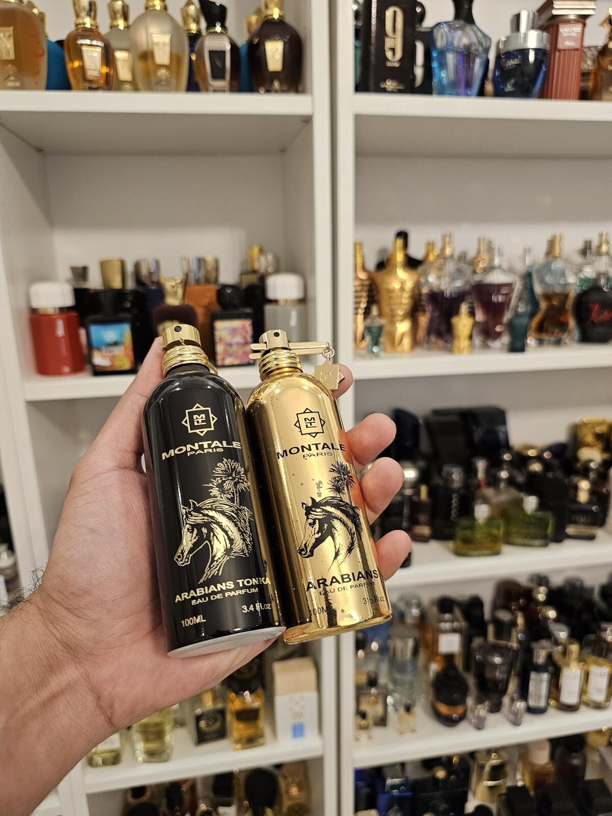 عطر ادکلن عربیانس تانکا مونتال - Arabians Tonka Montale - بررسی، قیمت و خرید