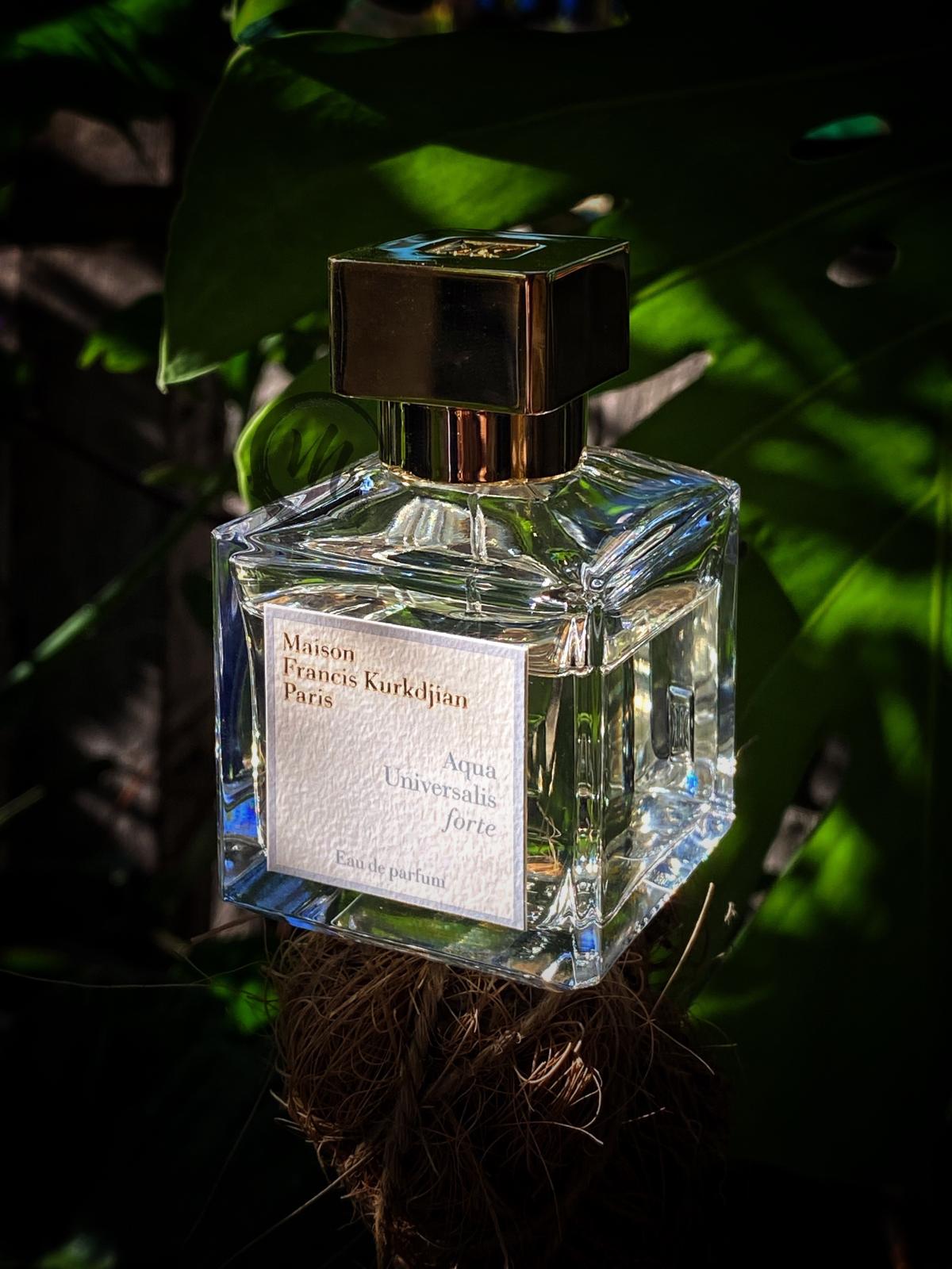 عطر ادکلن آکوا یونیورسالیس فورت میسون فرانسیس کرکجان - Aqua Universalis Forte Maison Francis Kurkdjian - بررسی، قیمت و خرید