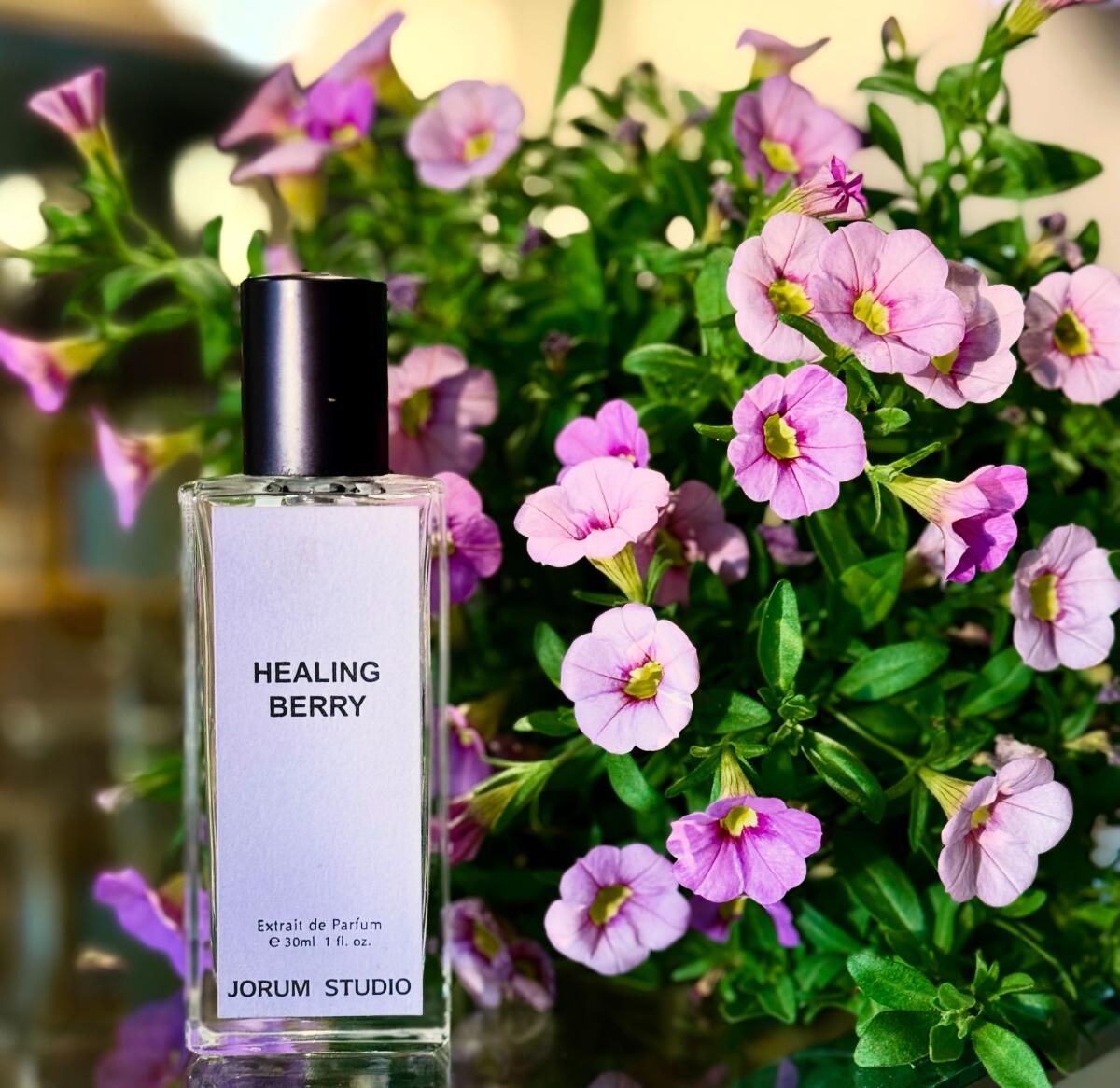 عطر ادکلن هیلینگ بری جروم استودیو - Healing Berry Jorum Studio - بررسی، قیمت و خرید