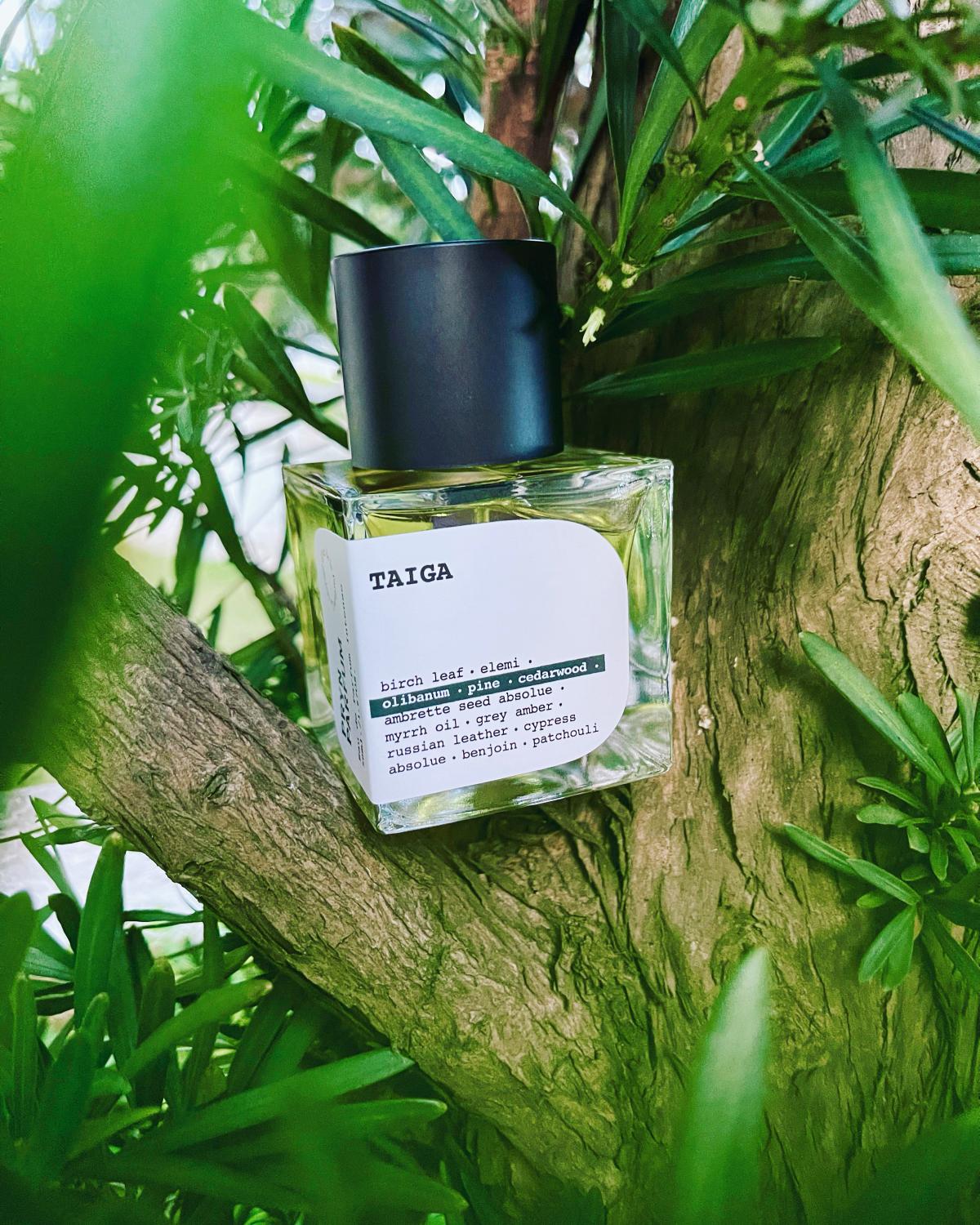 عطر ادکلن تایگا پرین پرفیوم - Taiga Pryn Parfum - بررسی، قیمت و خرید