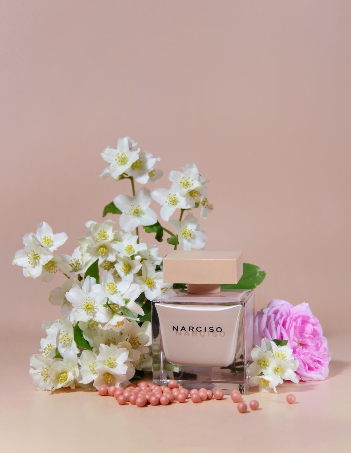 عطر ادکلن نارسیسو پودره نارسیزو رودریگز - Narciso Poudree Narciso Rodriguez - بررسی، قیمت و خرید