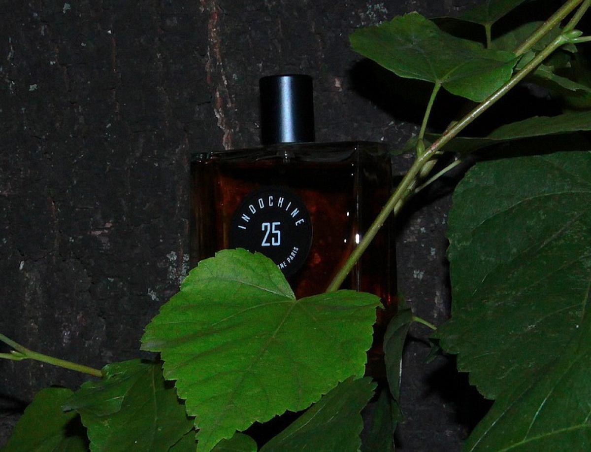 عطر ادکلن ایندوچین بیست و پنج پیر گلیام پاریس - Indochine 25 Pierre Guillaume Paris - بررسی، قیمت و خرید