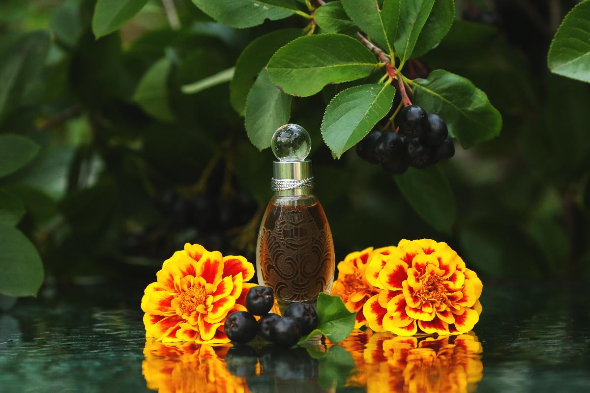 عطر ادکلن بایون د کت لادنیکا - Bayun the Cat Кот Баюн Ladanika - بررسی، قیمت و خرید