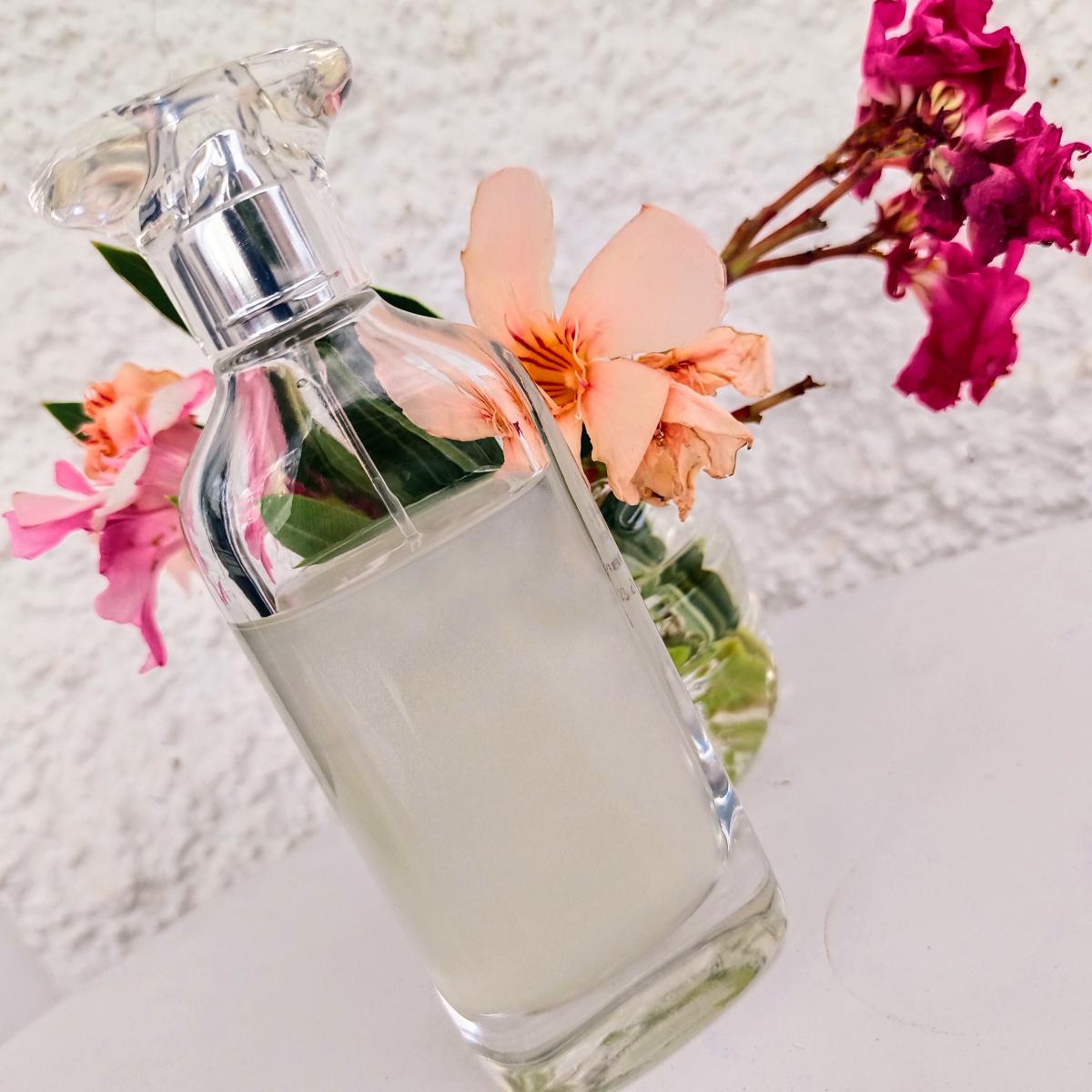 عطر ادکلن اِسنس او دو ماسک فرِش ایریدسنت او فرِش نارسیسو رودریگز - Essence Eau de Musc Fresh Iridescent Eau Fraîche Narciso Rodriguez - بررسی، قیمت و خرید