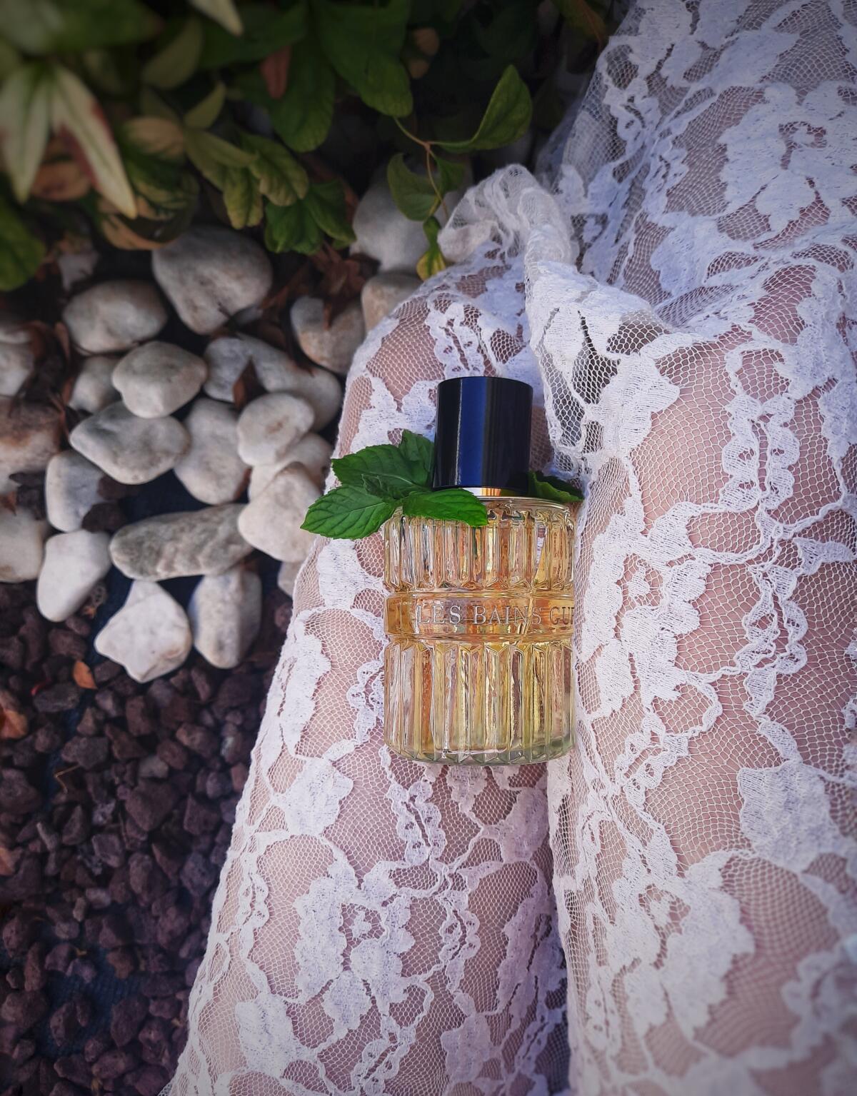 عطر ادکلن روکسو تونیک دوهزار و هجده لِه بِین گِربوا - 2018 Roxo Tonic Les Bains Guerbois - بررسی، قیمت و خرید
