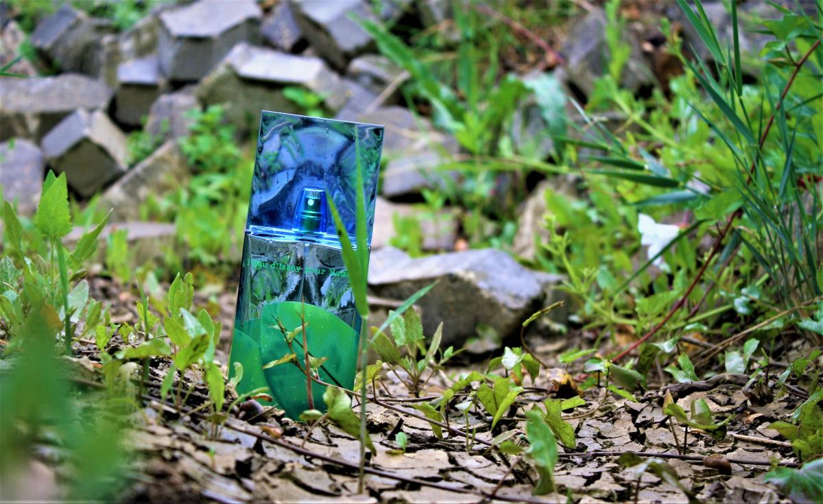 عطر ادکلن لئو د ایسه پور هوم او دو تویلت له ته ایسه میاکه - L'Eau d'Issey Pour Homme Eau de Toilette L'Ete Issey Miyake - بررسی، قیمت و خرید