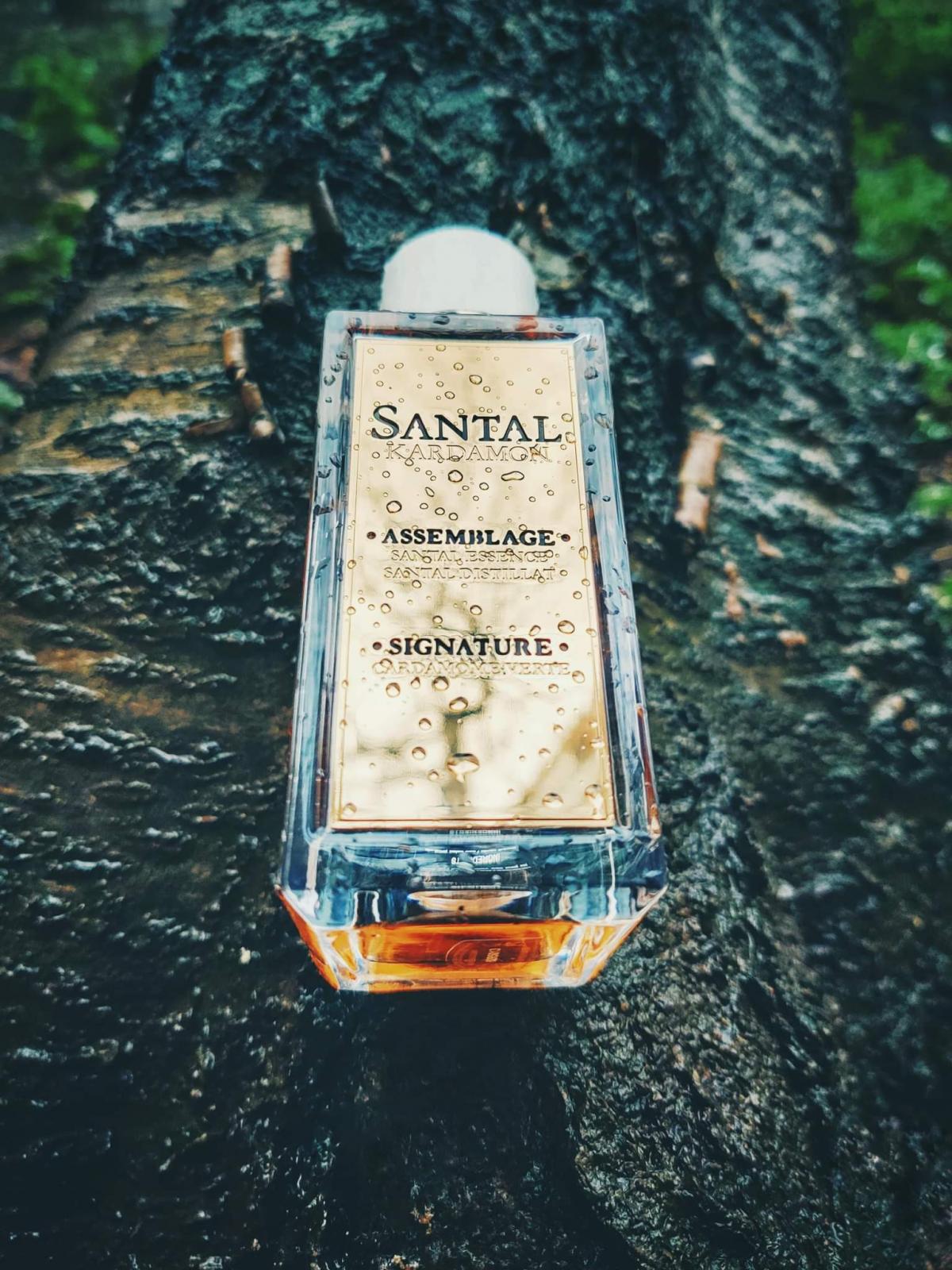 عطر ادکلن سانتال کاردامون لنکوم - Santal Kardamon Lancôme - بررسی، قیمت و خرید