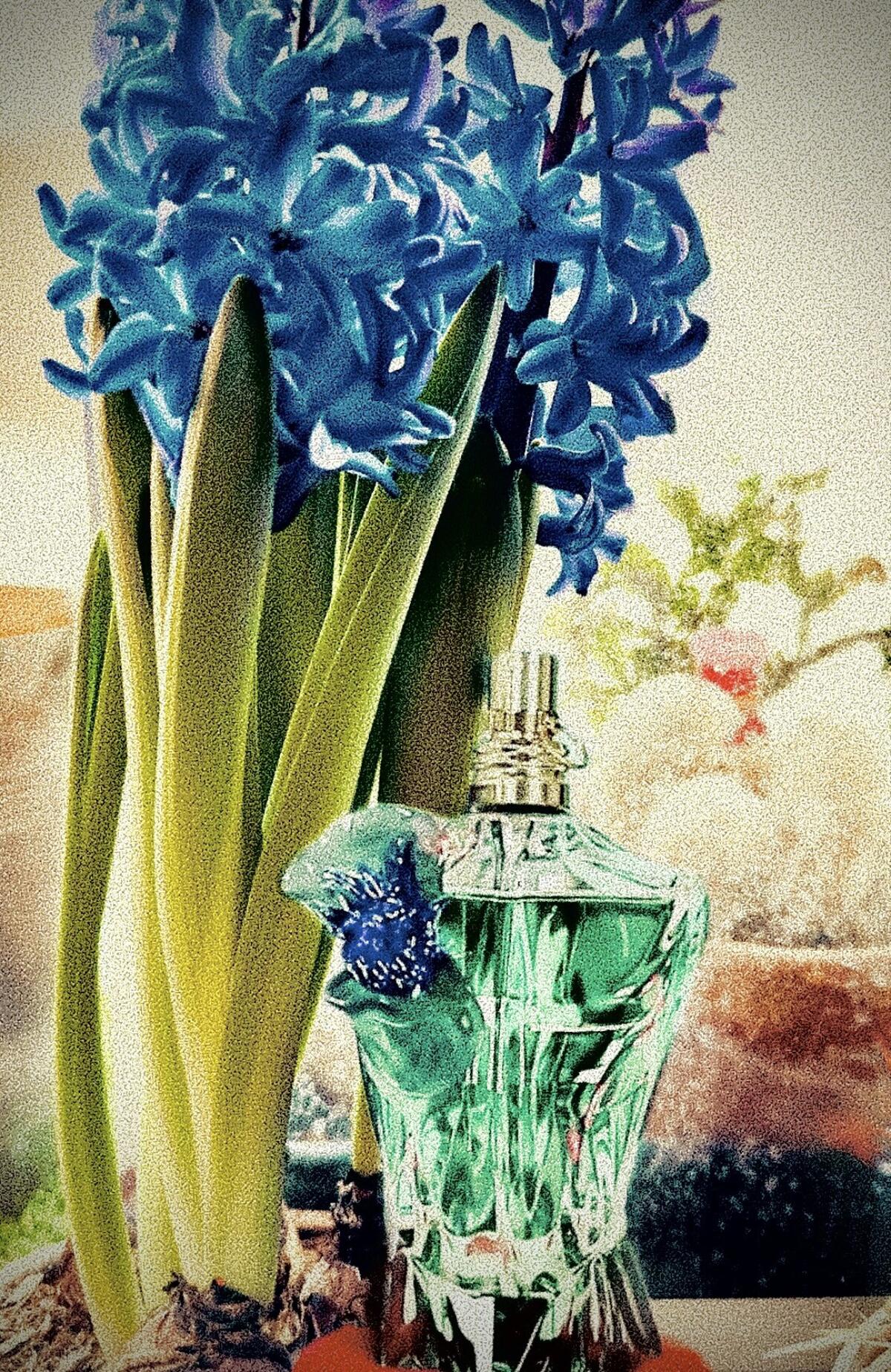 عطر ادکلن له بو فلاور ایدیشن ژان پل گوتیه - Le Beau Flower Edition Jean Paul Gaultier - بررسی، قیمت و خرید