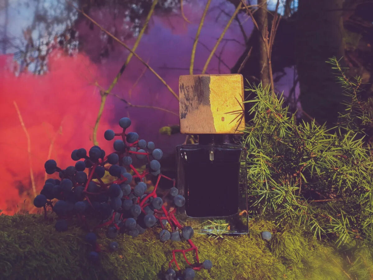 عطر ادکلن فایند می این د دارک ژوسه پرفیومز - Find Me In The Dark Jousset Parfums - بررسی، قیمت و خرید