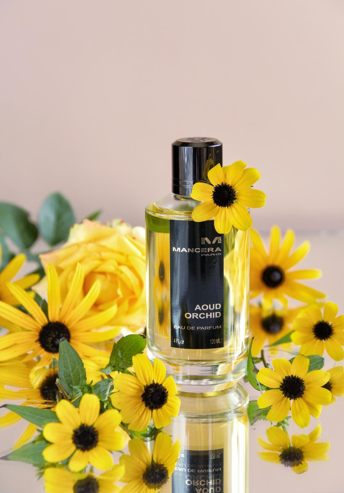 عطر ادکلن عود ارکید مانسرا - Aoud Orchid Mancera - بررسی، قیمت و خرید
