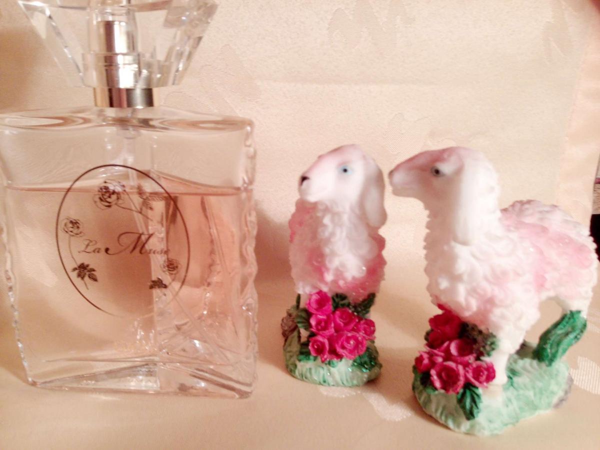 عطر ادکلن لا میوز اوکی - La Muse OKKI - بررسی، قیمت و خرید
