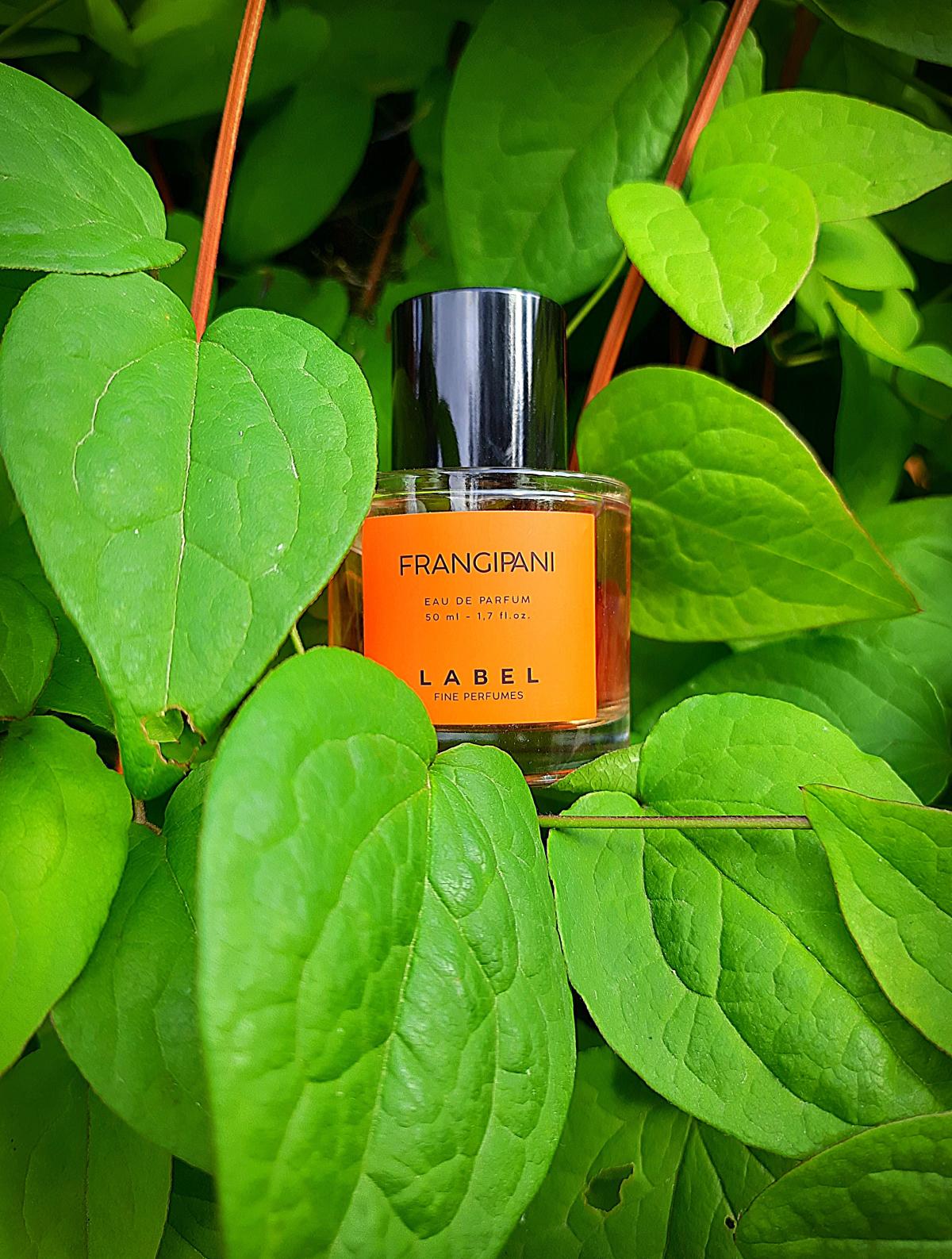 عطر ادکلن فرانجیپانی مِیزان لَبِل - Frangipani Maison Label - بررسی، قیمت و خرید