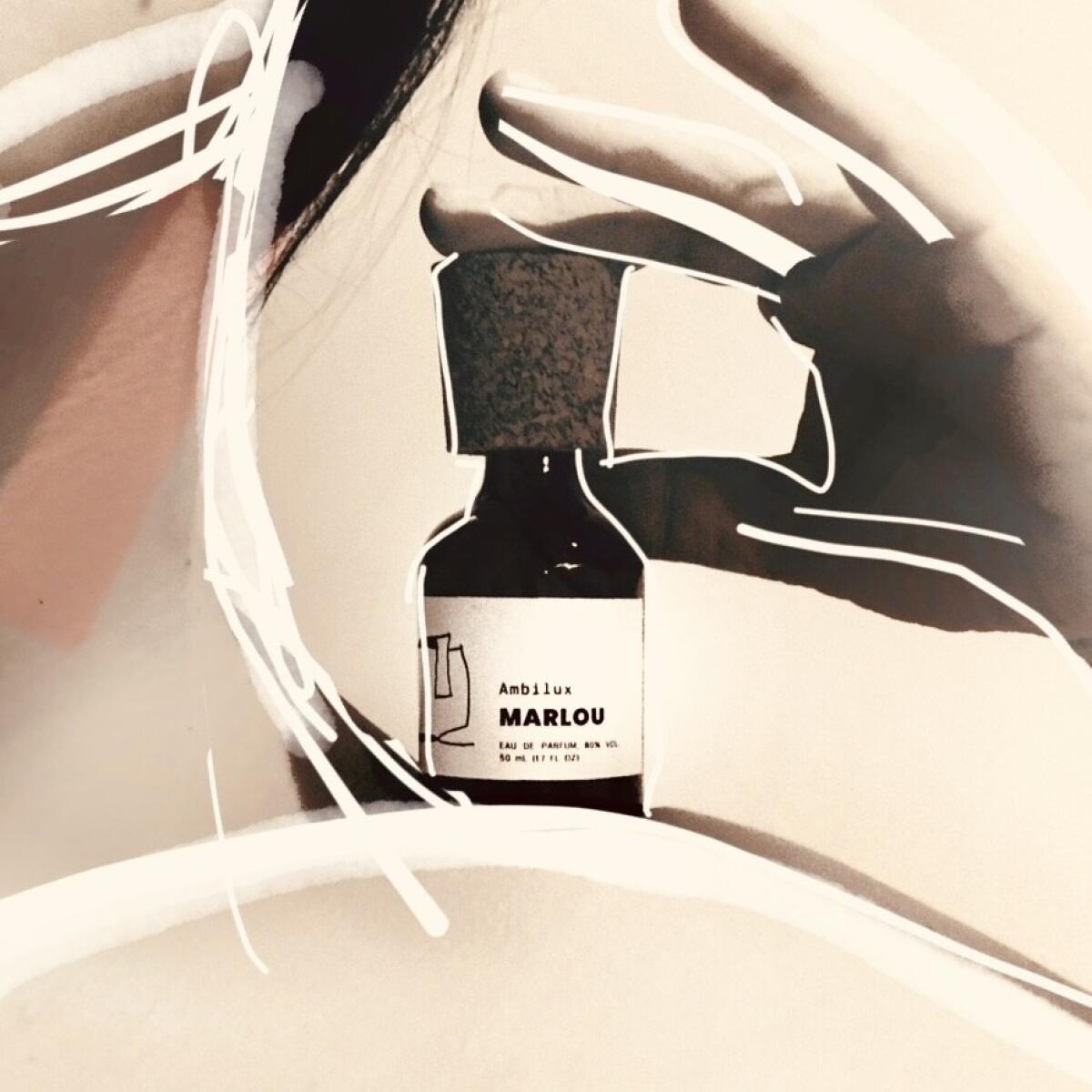 عطر ادکلن امبیلوکس مارلو - Ambilux Marlou - بررسی، قیمت و خرید
