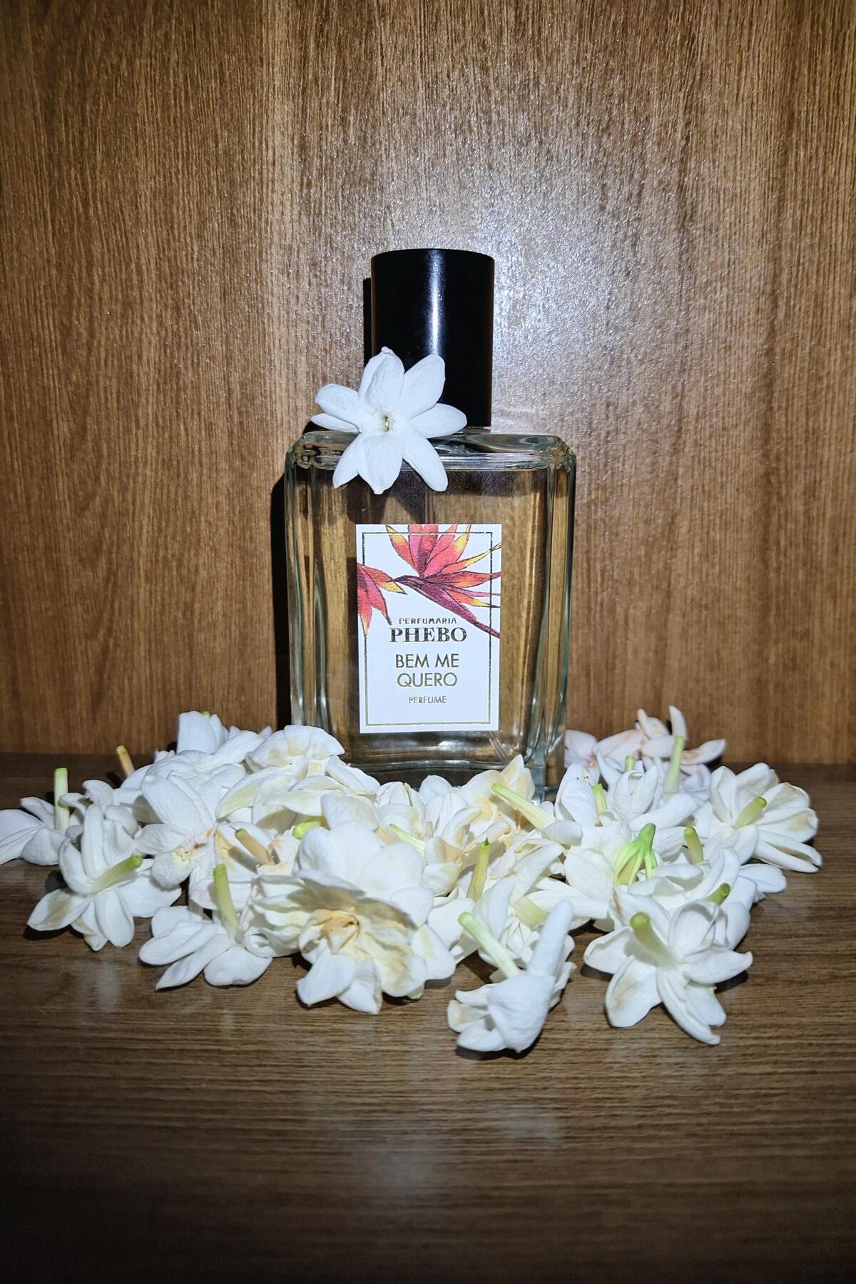عطر ادکلن بم می کوئرو فبو - Bem Me Quero Phebo - بررسی، قیمت و خرید