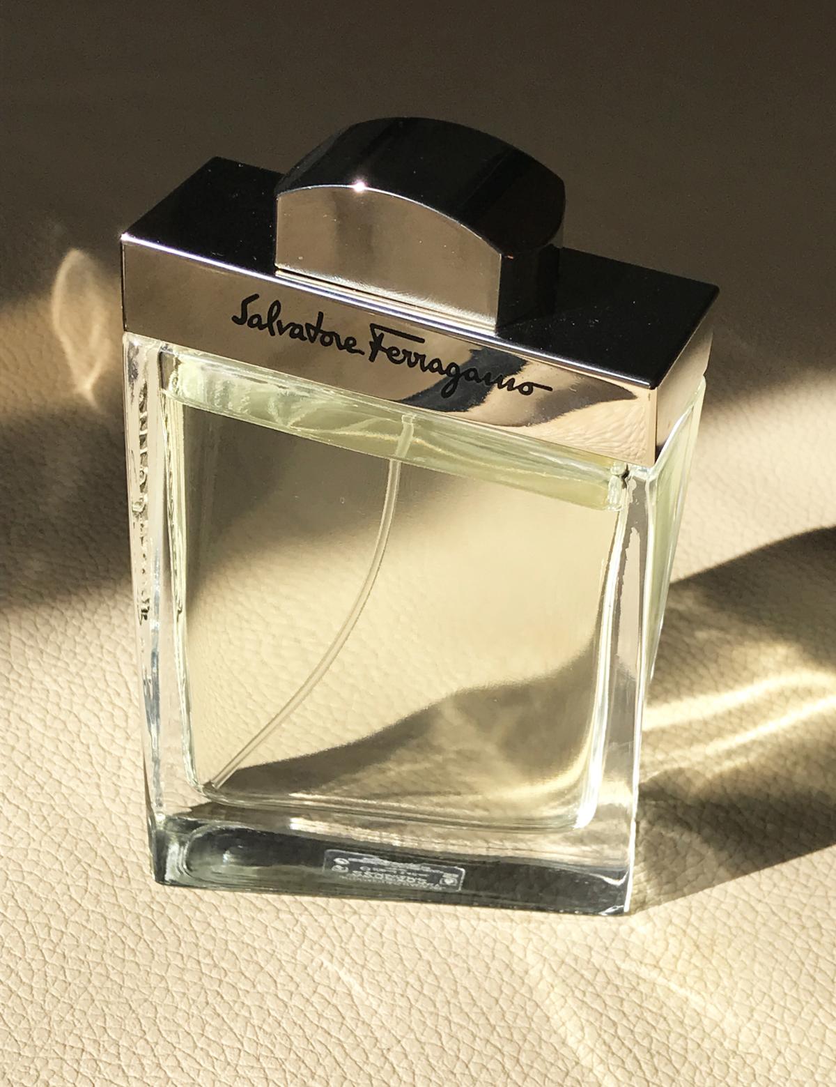 عطر ادکلن سالواتوره فراگامو پور هوم سالواتوره فراگامو - Salvatore Ferragamo Pour Homme Salvatore Ferragamo - بررسی، قیمت و خرید
