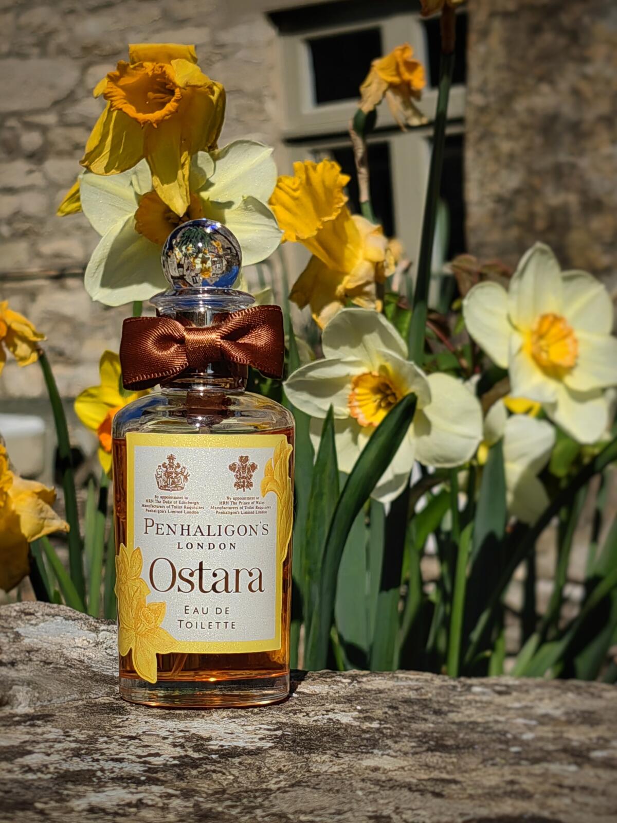 عطر ادکلن اوستارا پنالیگونز - Ostara Penhaligon's - بررسی، قیمت و خرید